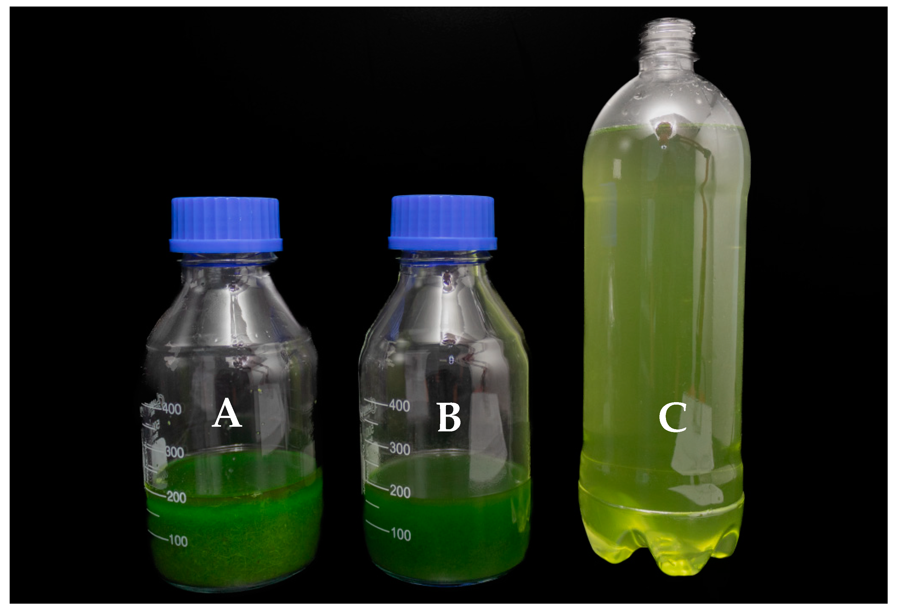 Plants 14 01018 g004