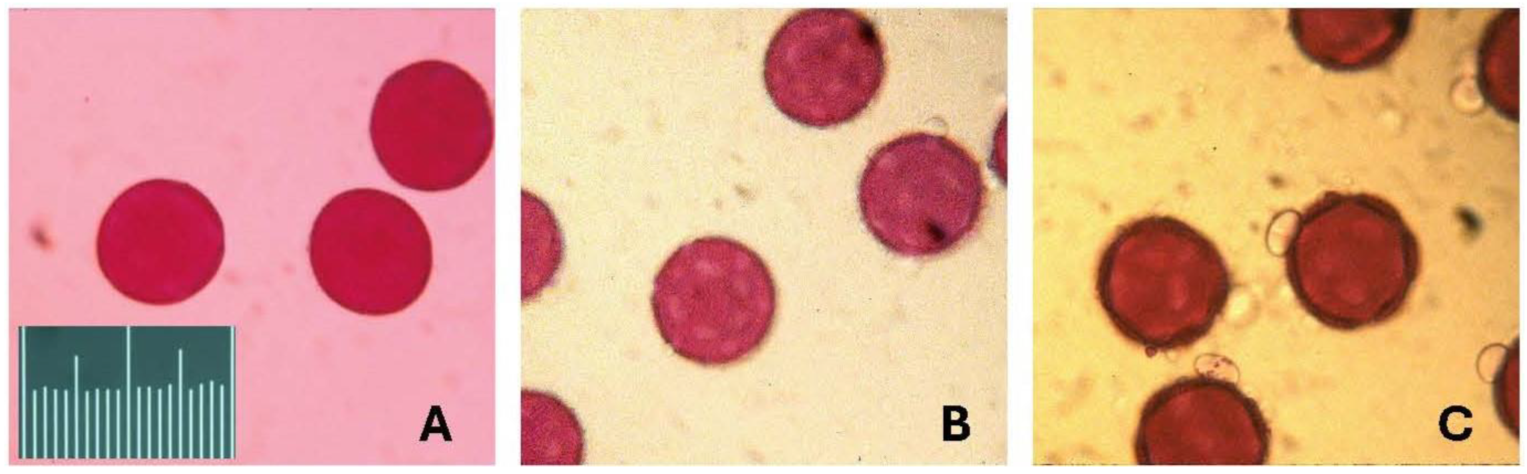 Plants 14 01041 g001