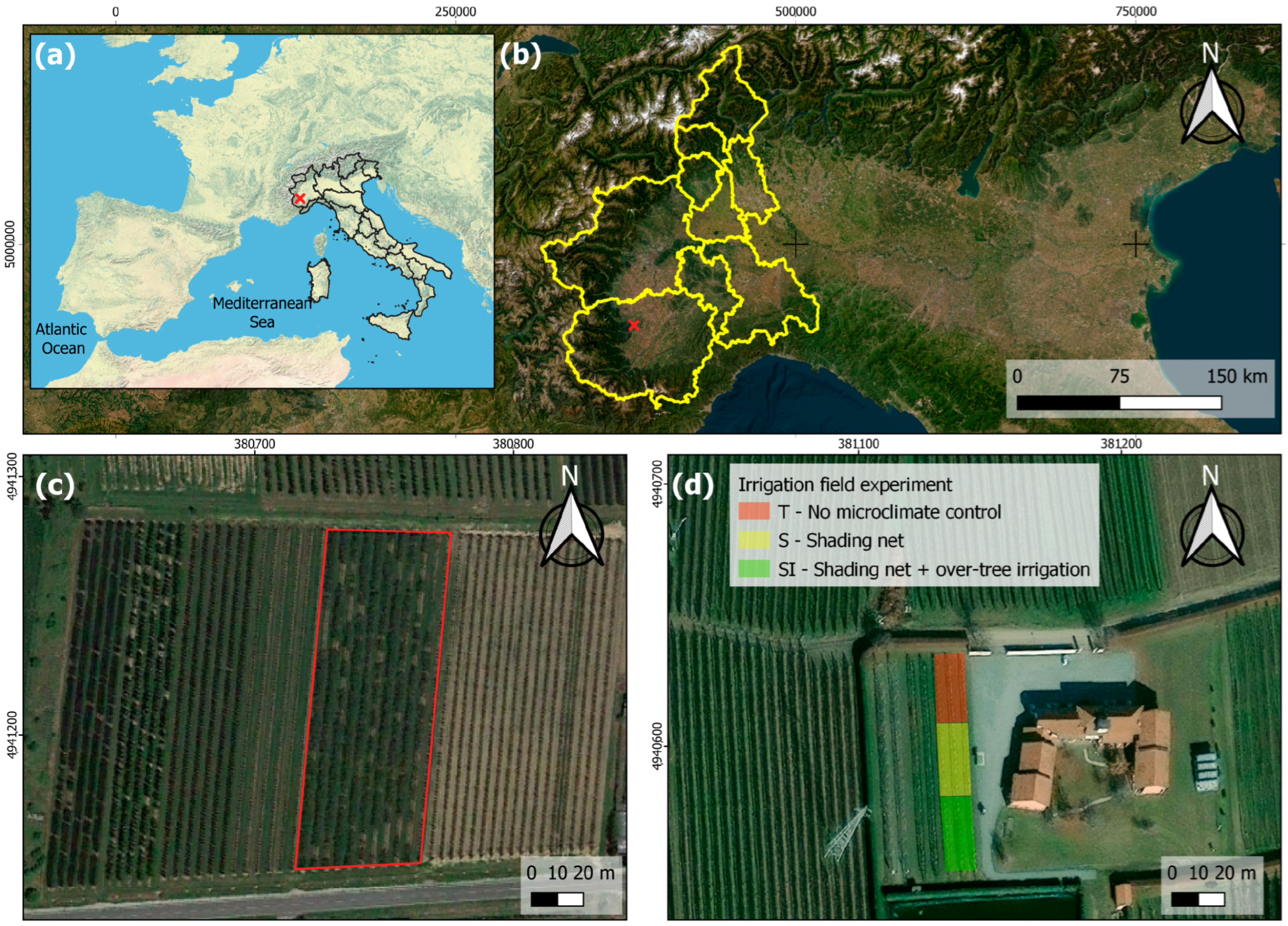 Plants 14 01049 g001