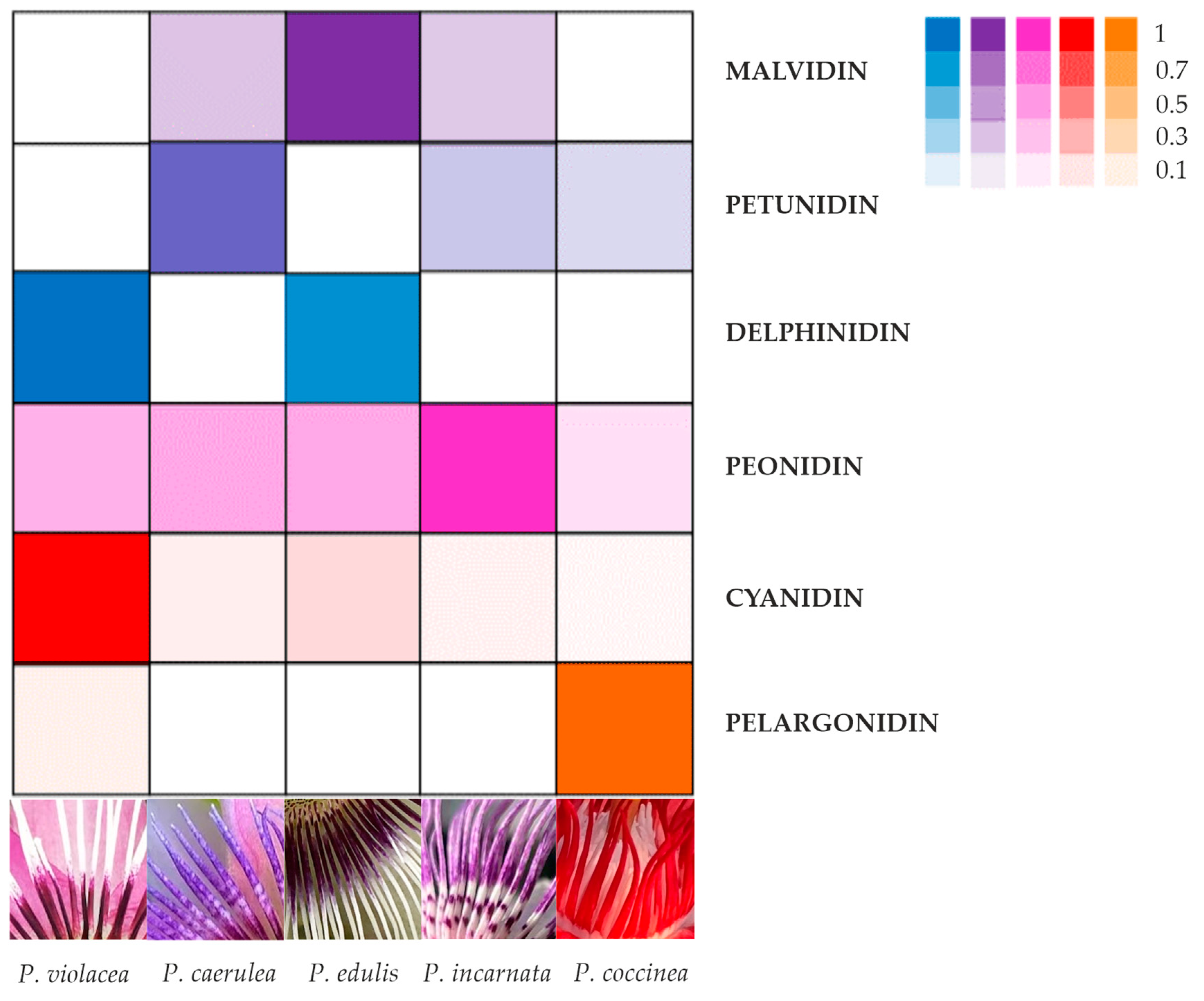 Plants 14 01050 g008 Plants 14 01050 g008