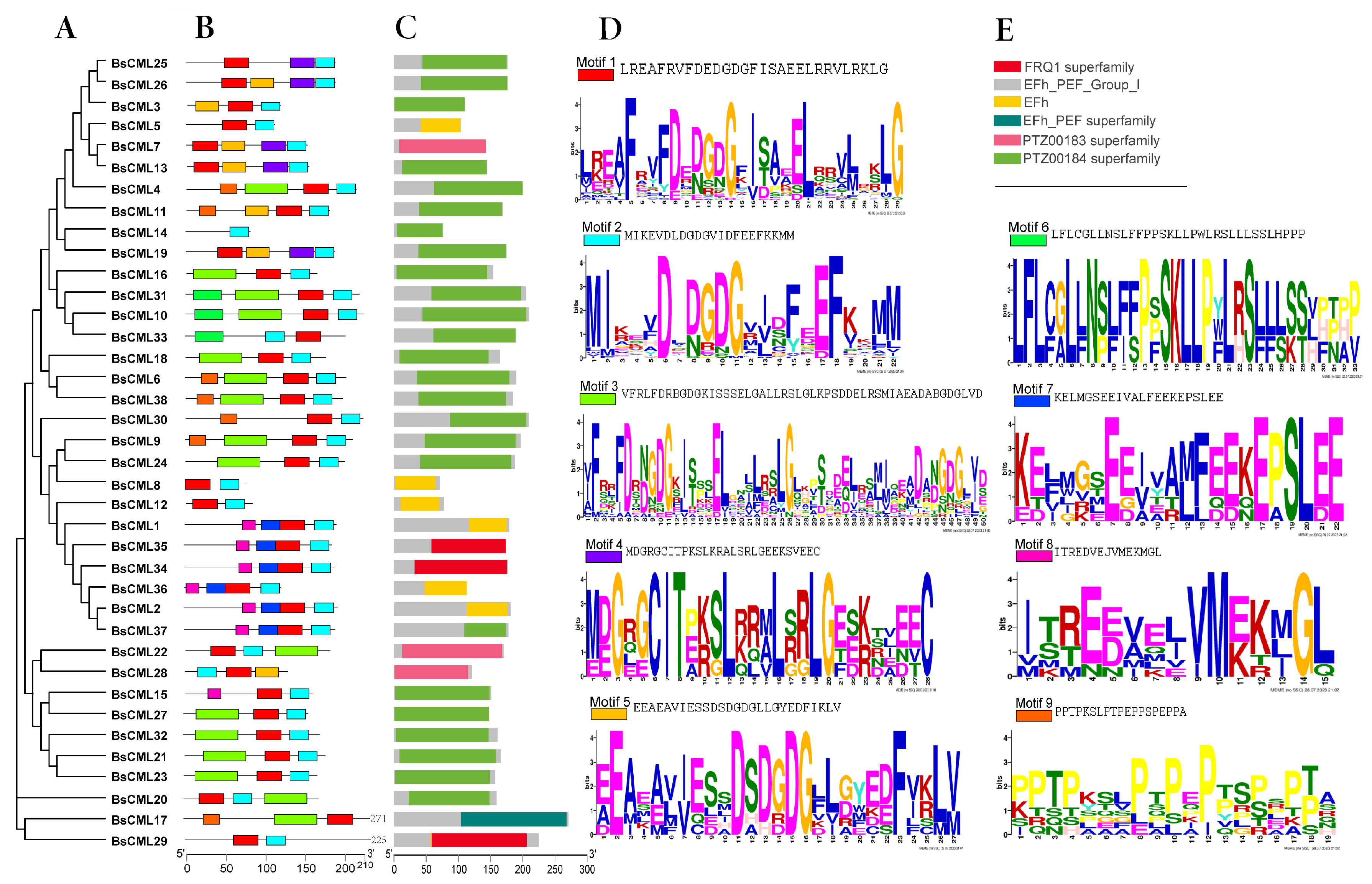 Plants 14 01052 g001
