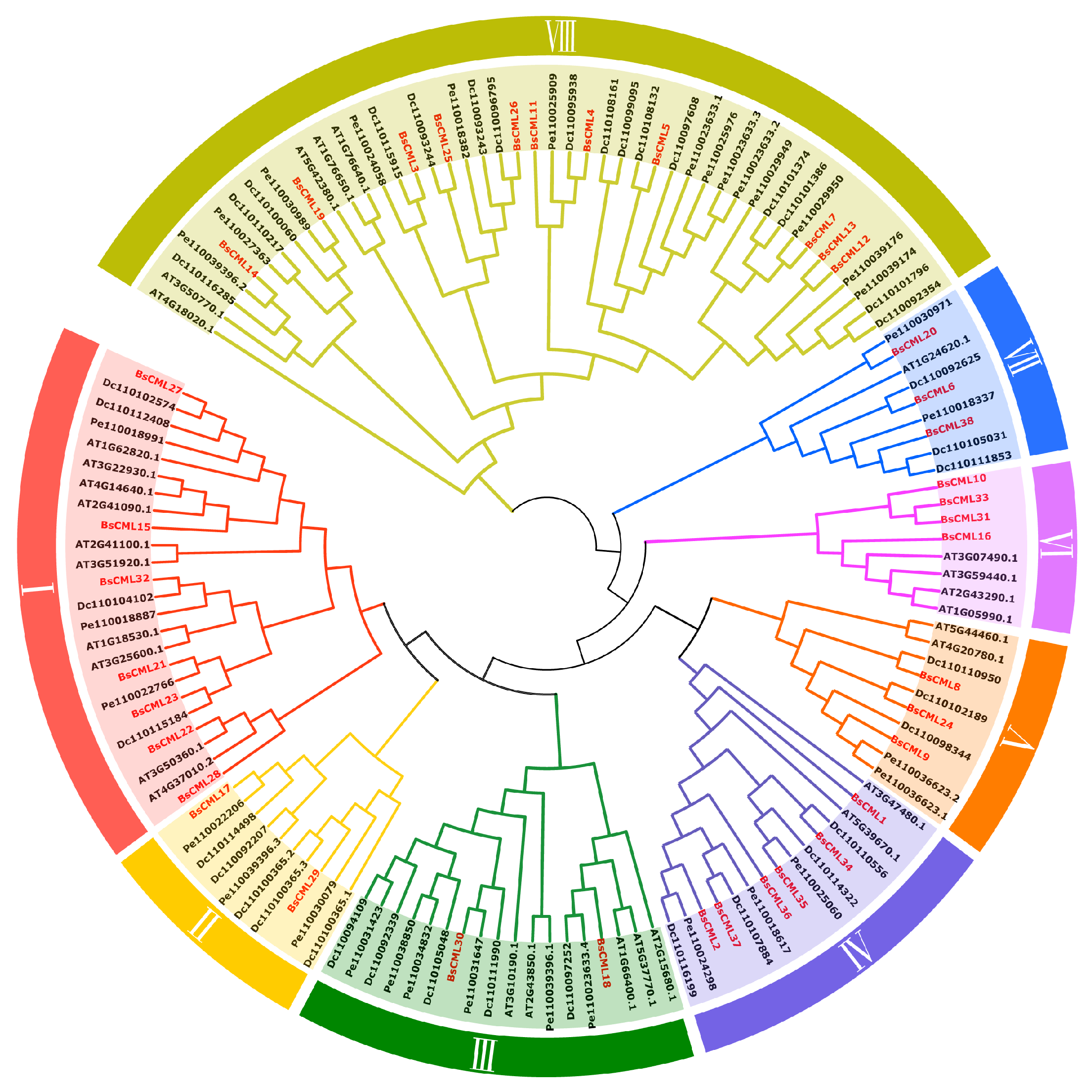 Plants 14 01052 g002