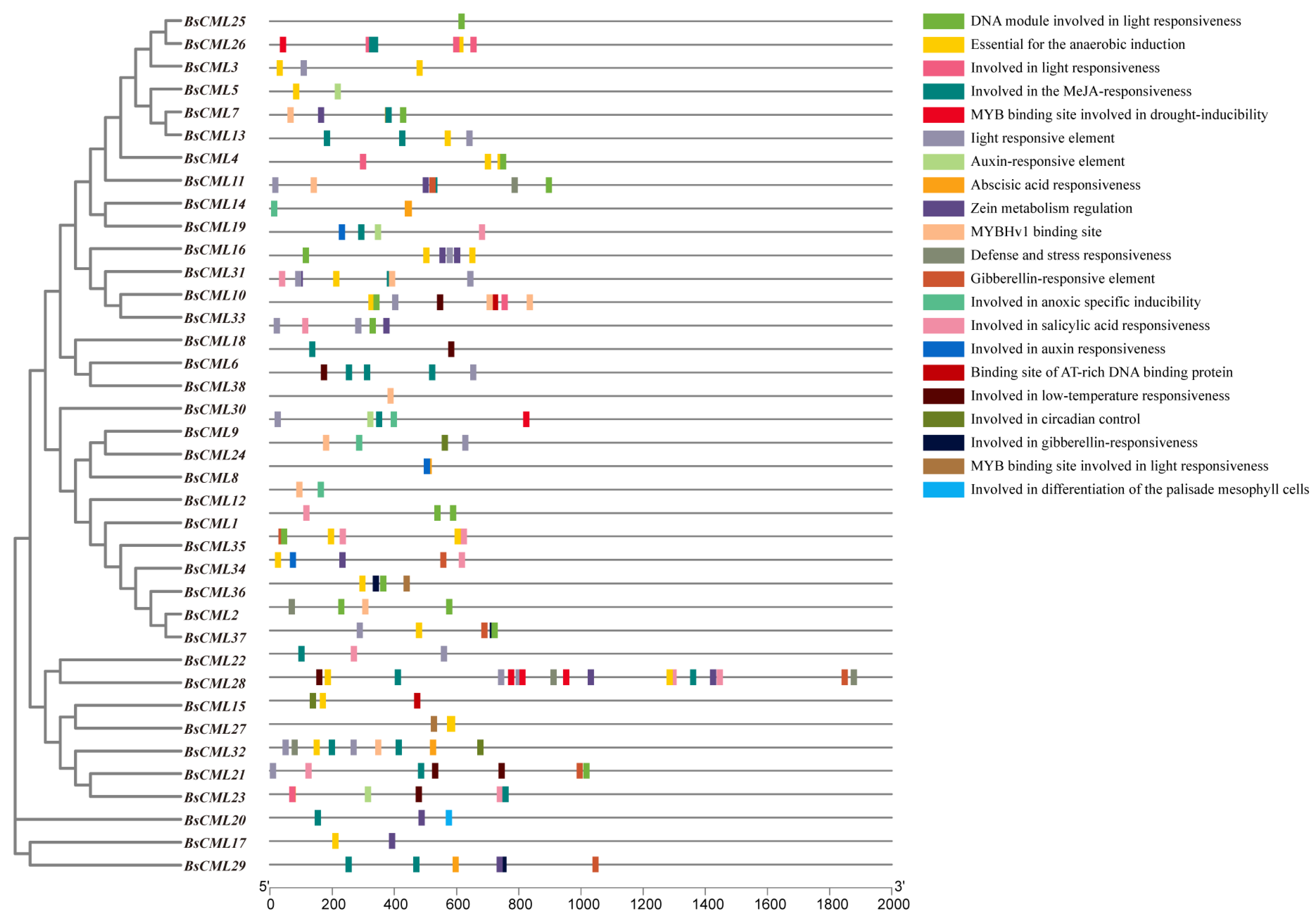 Plants 14 01052 g004