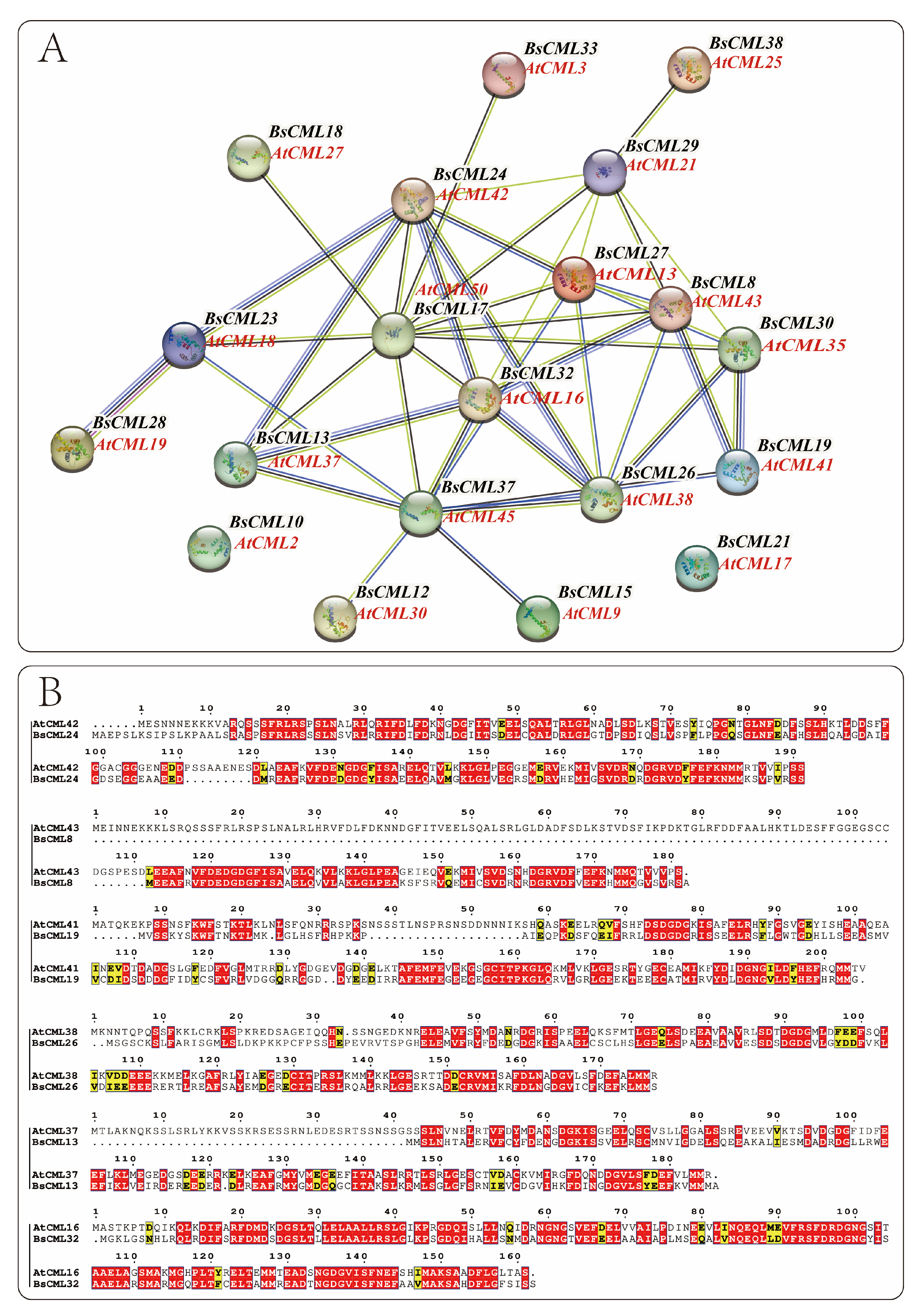 Plants 14 01052 g005