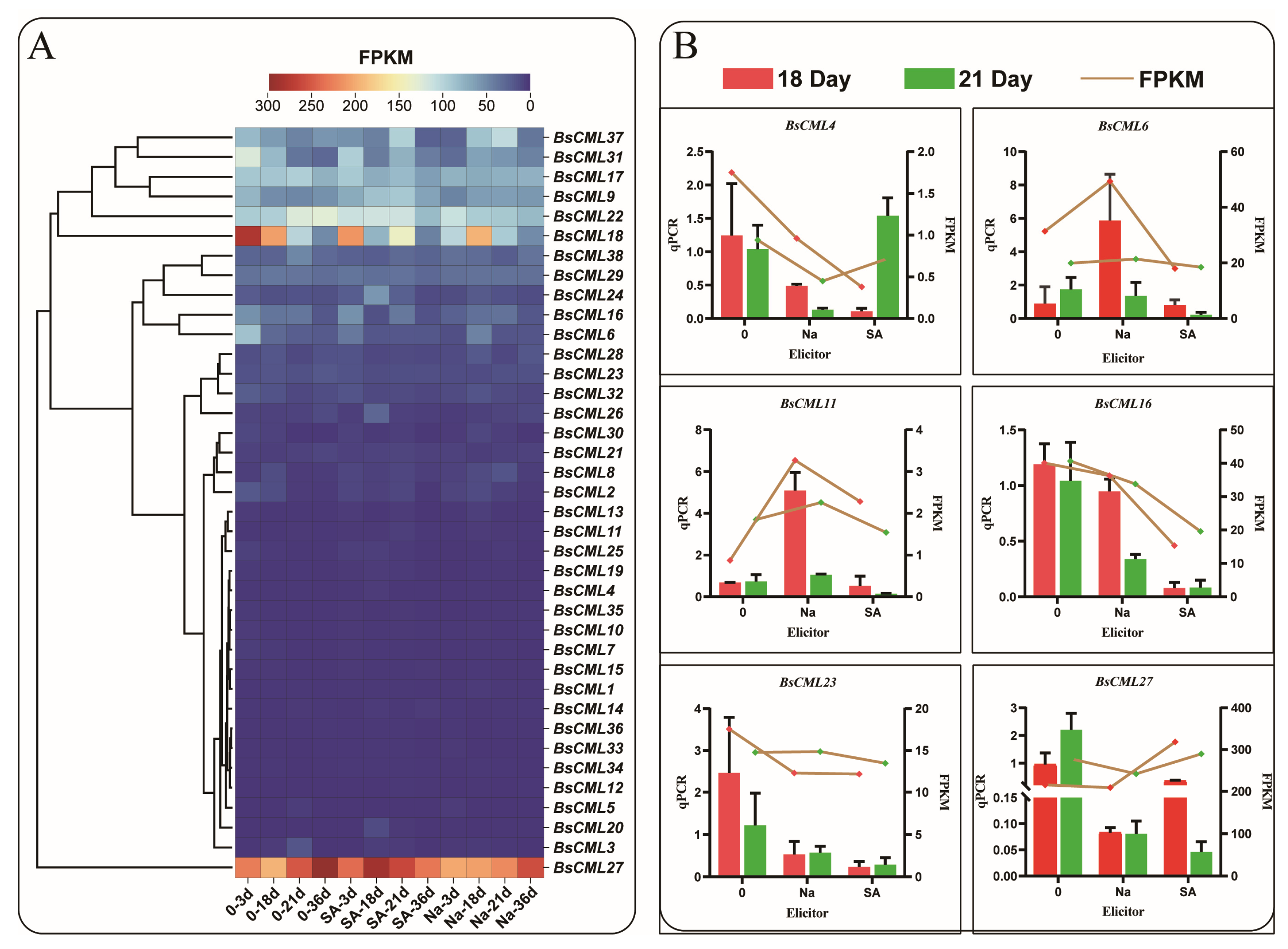 Plants 14 01052 g006