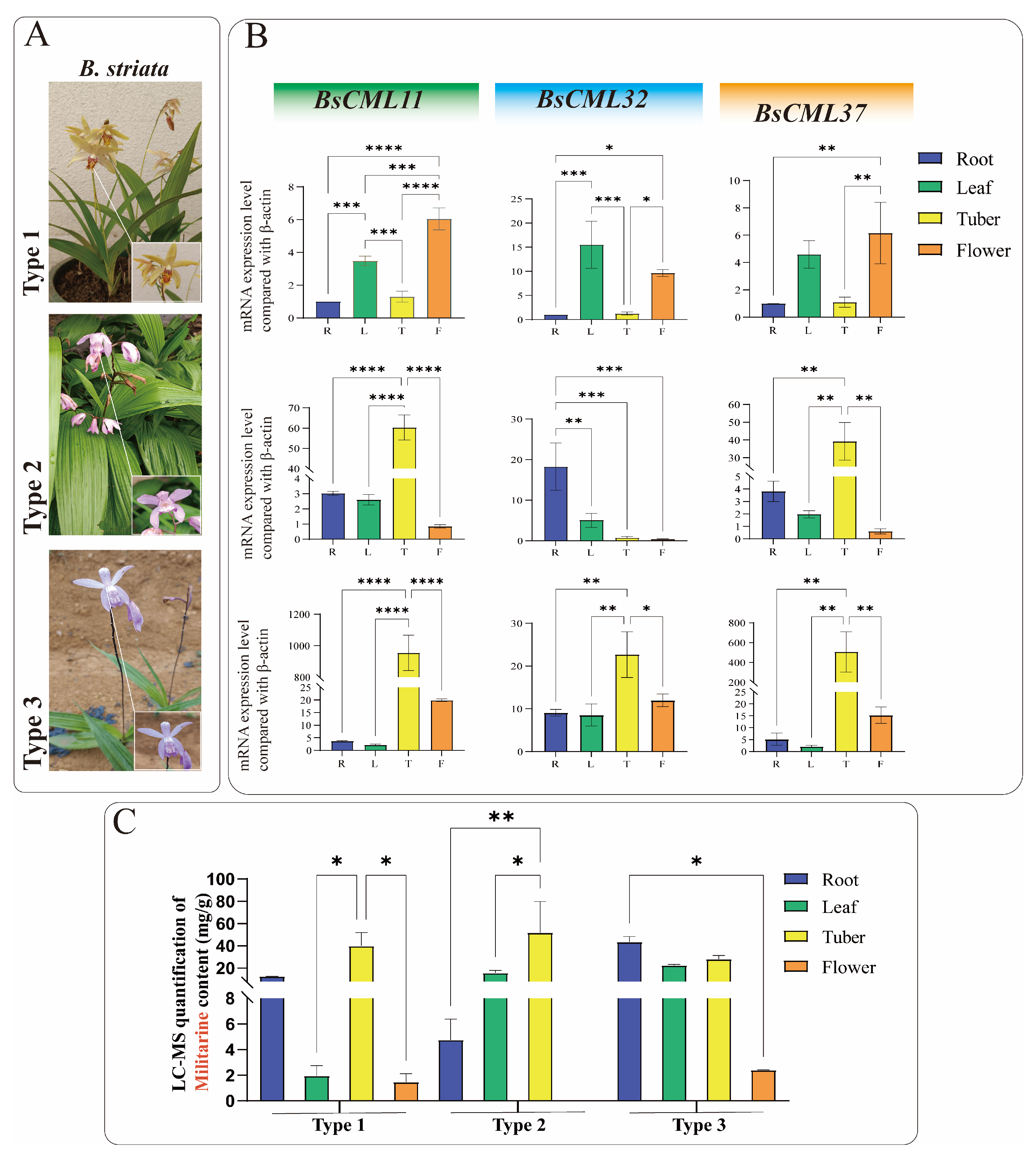 Plants 14 01052 g009