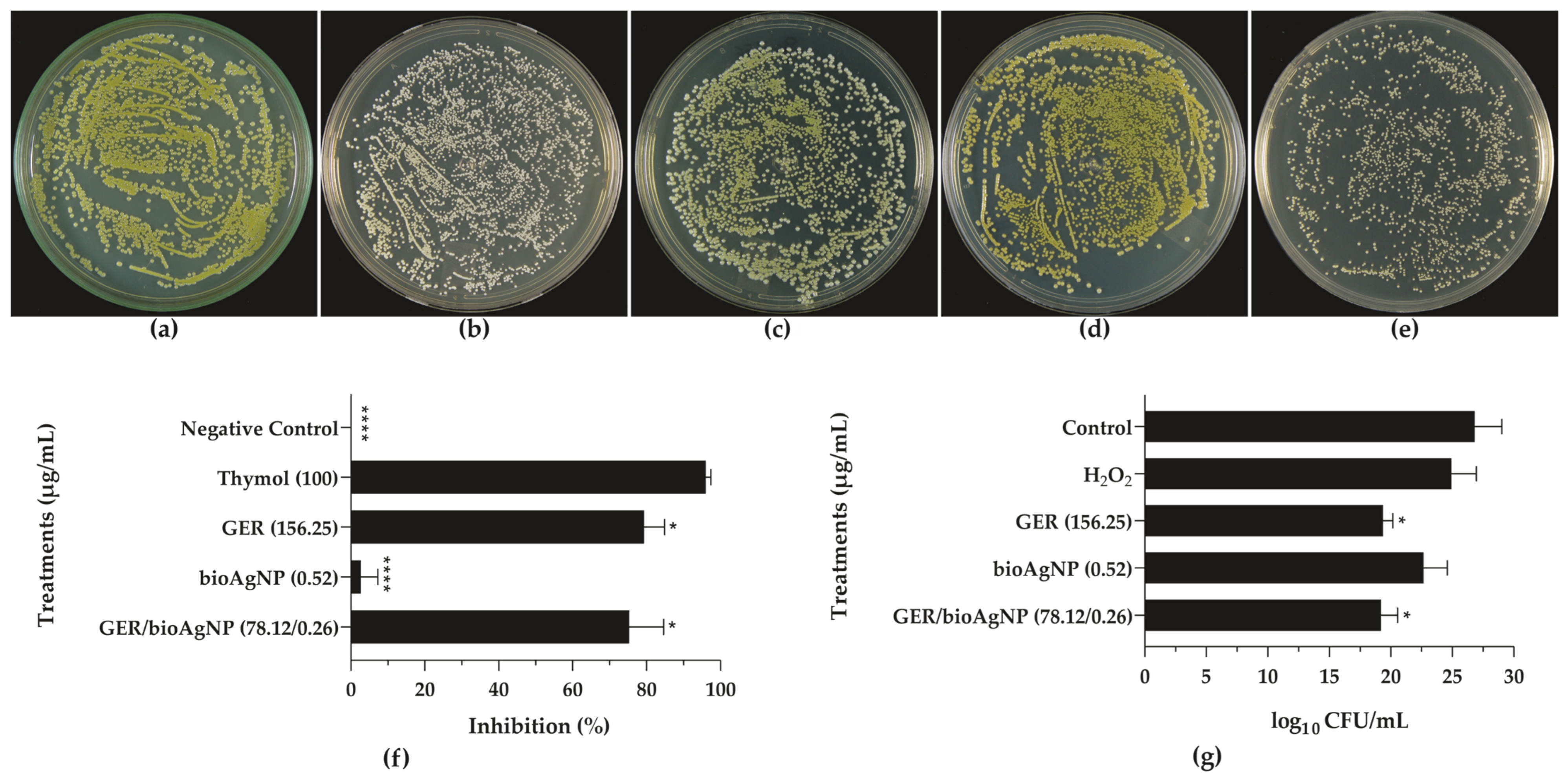 Plants 14 01059 g004