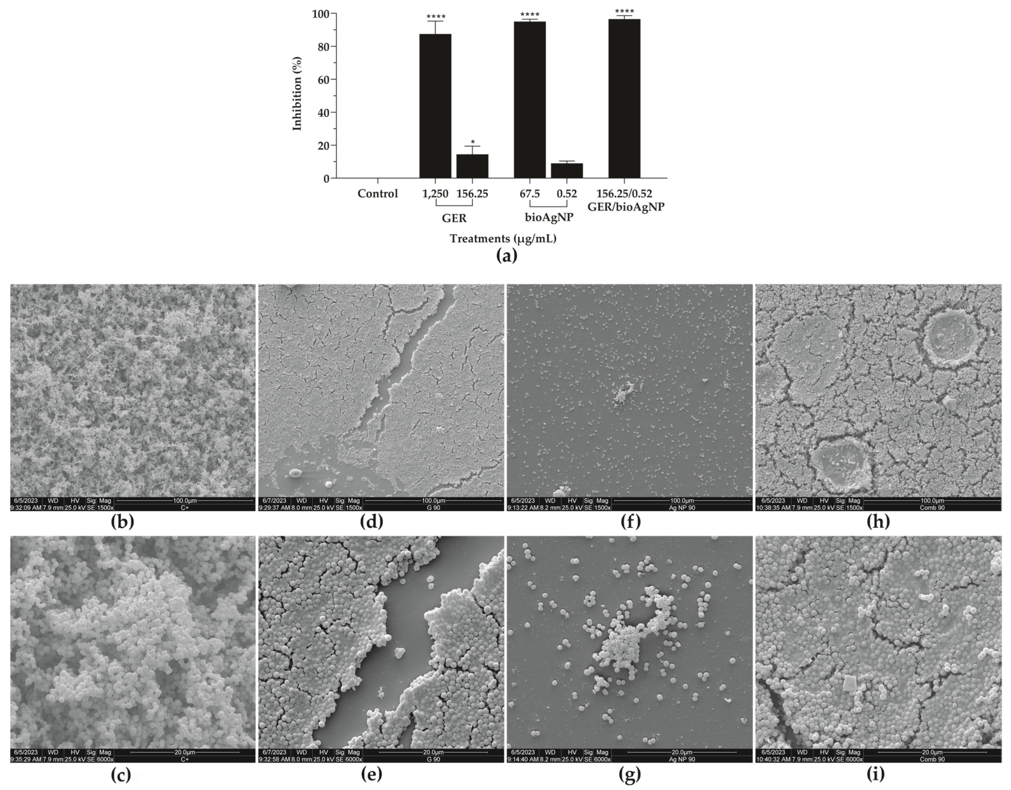 Plants 14 01059 g006