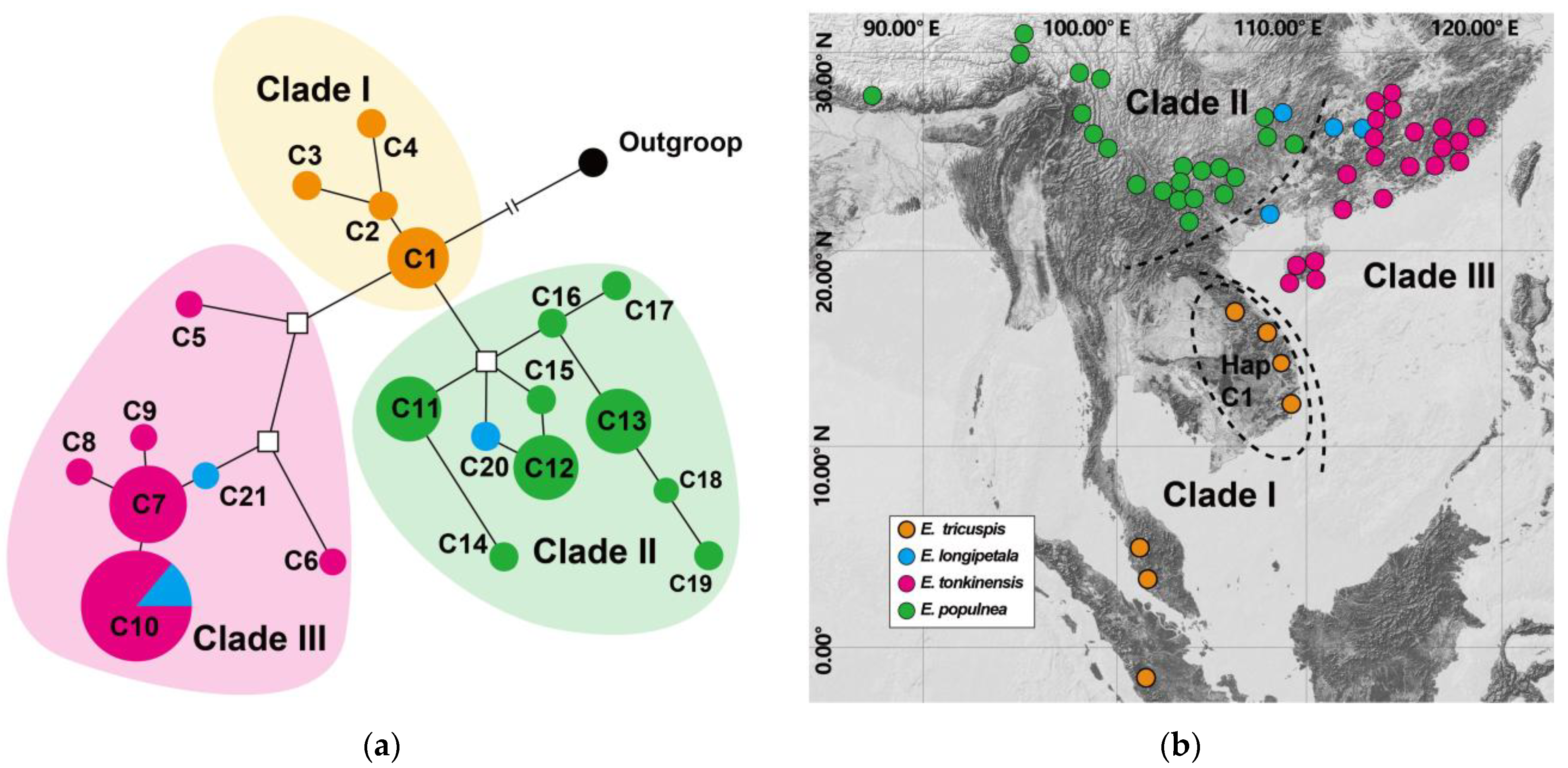 Plants 14 01061 g002