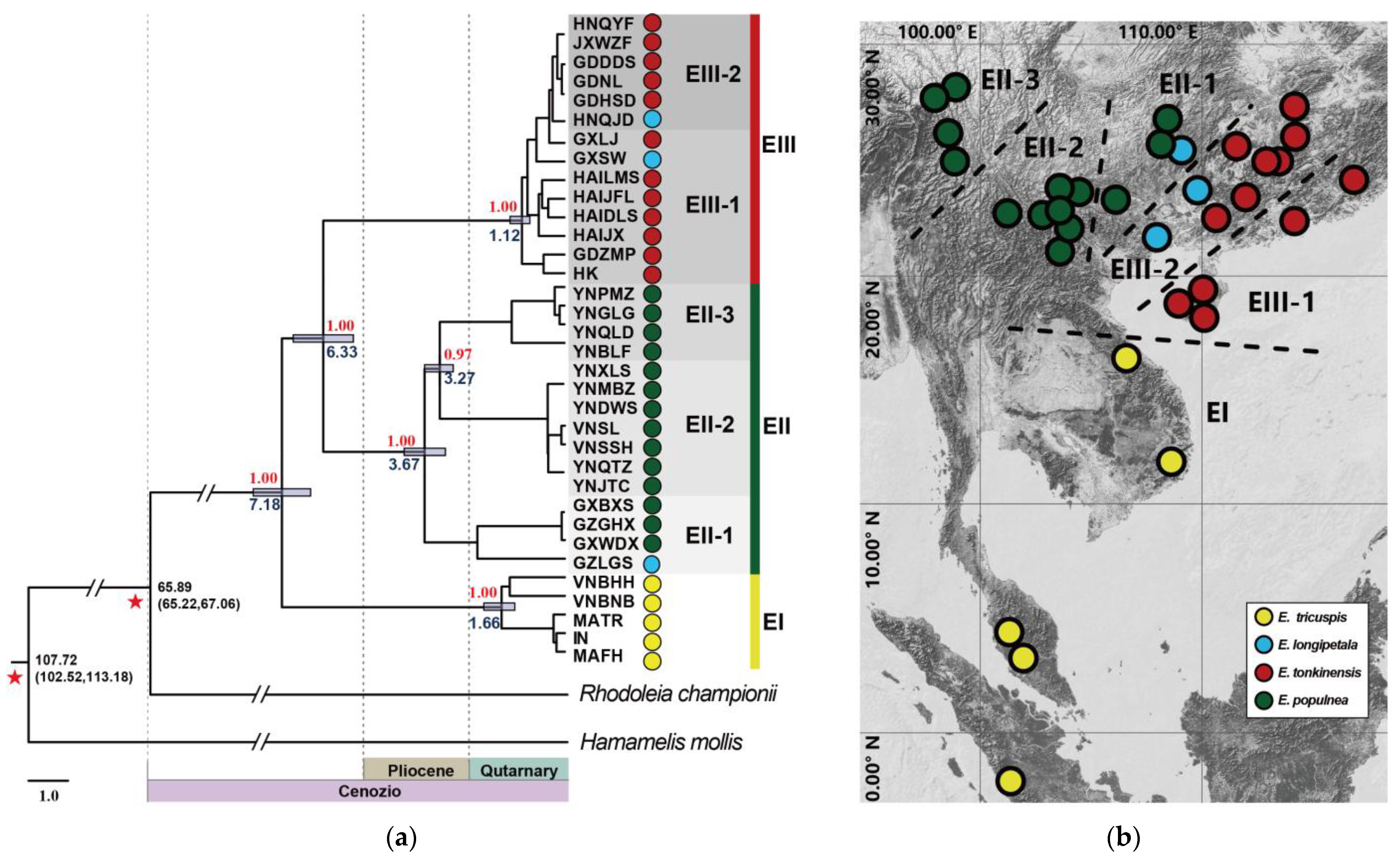 Plants 14 01061 g004