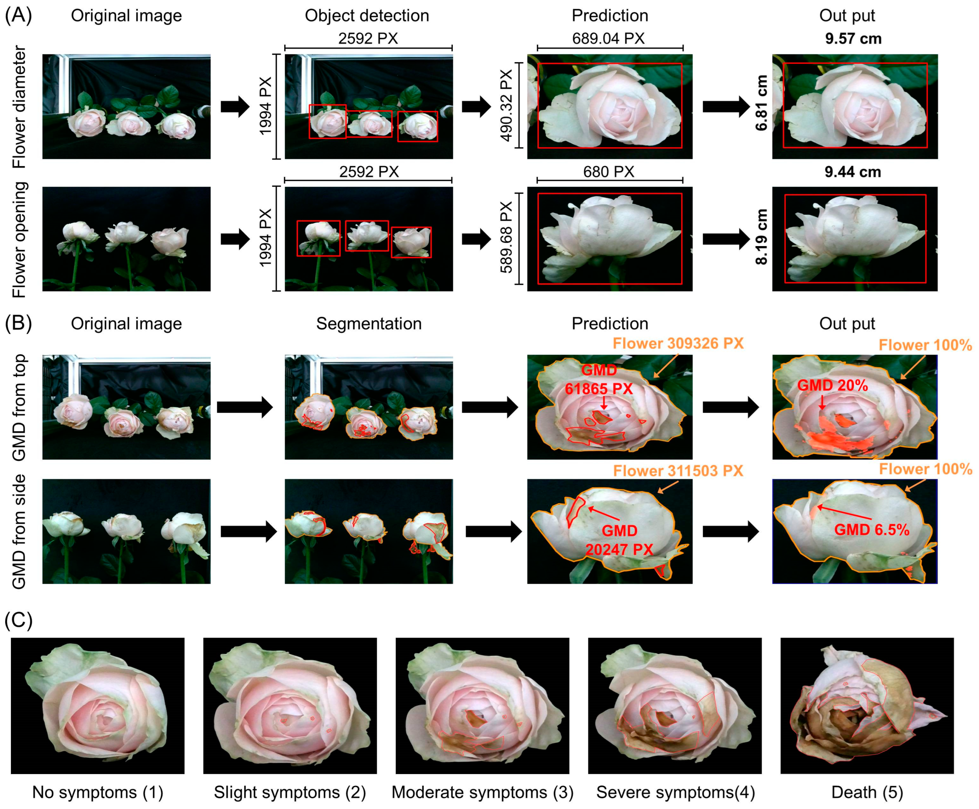 Plants 14 01076 g002