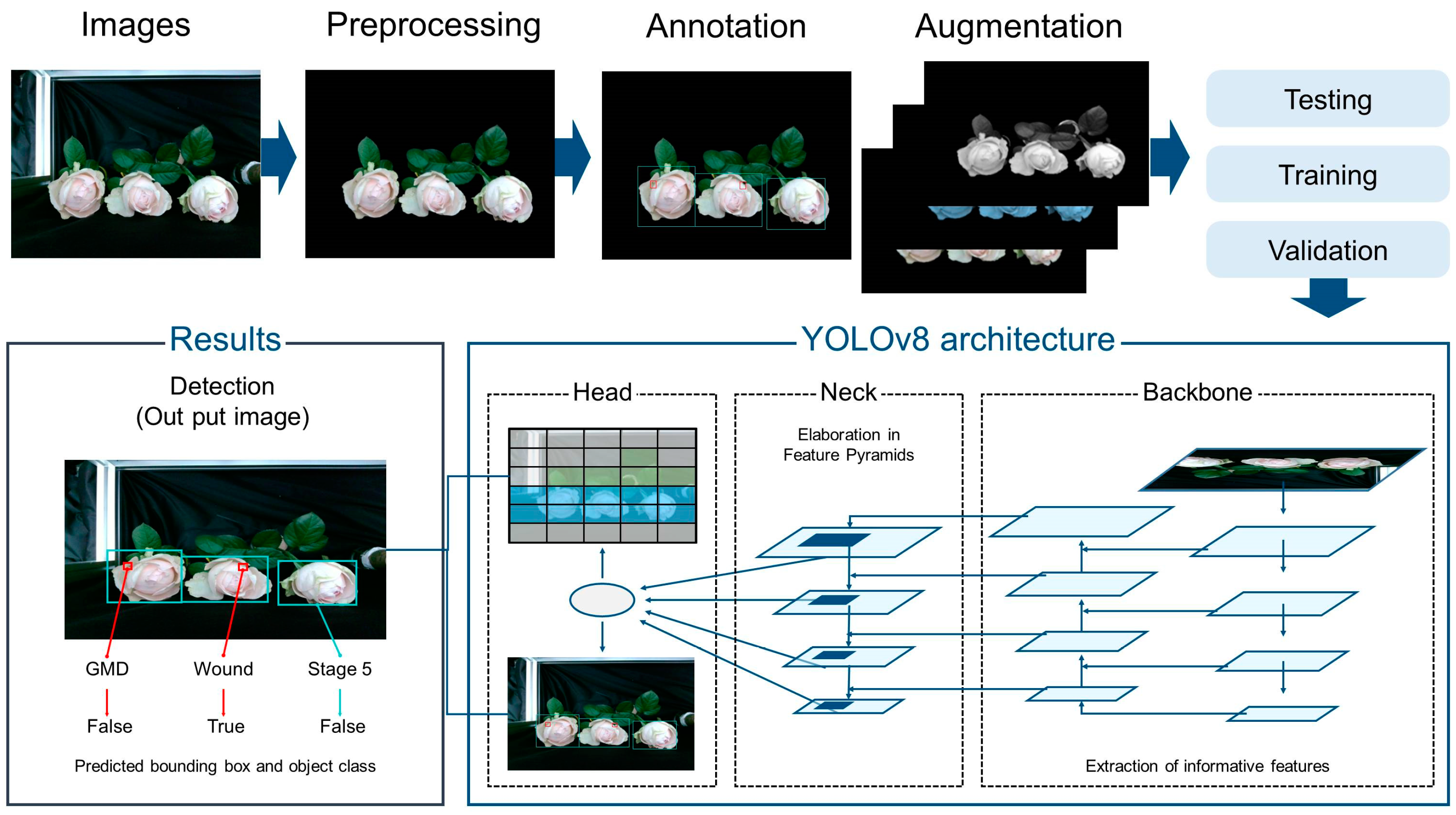 Plants 14 01076 g010