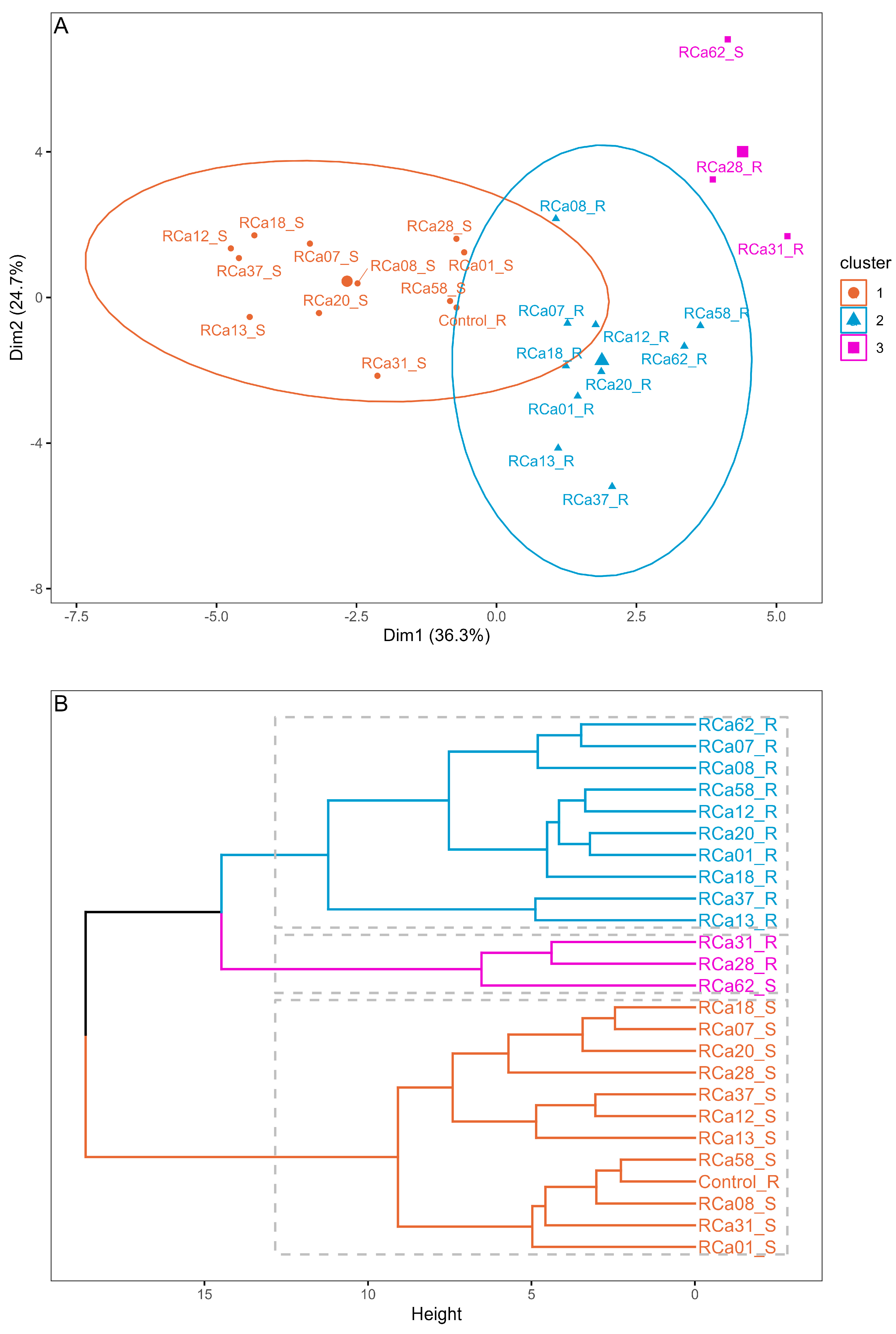 Plants 14 01084 g001