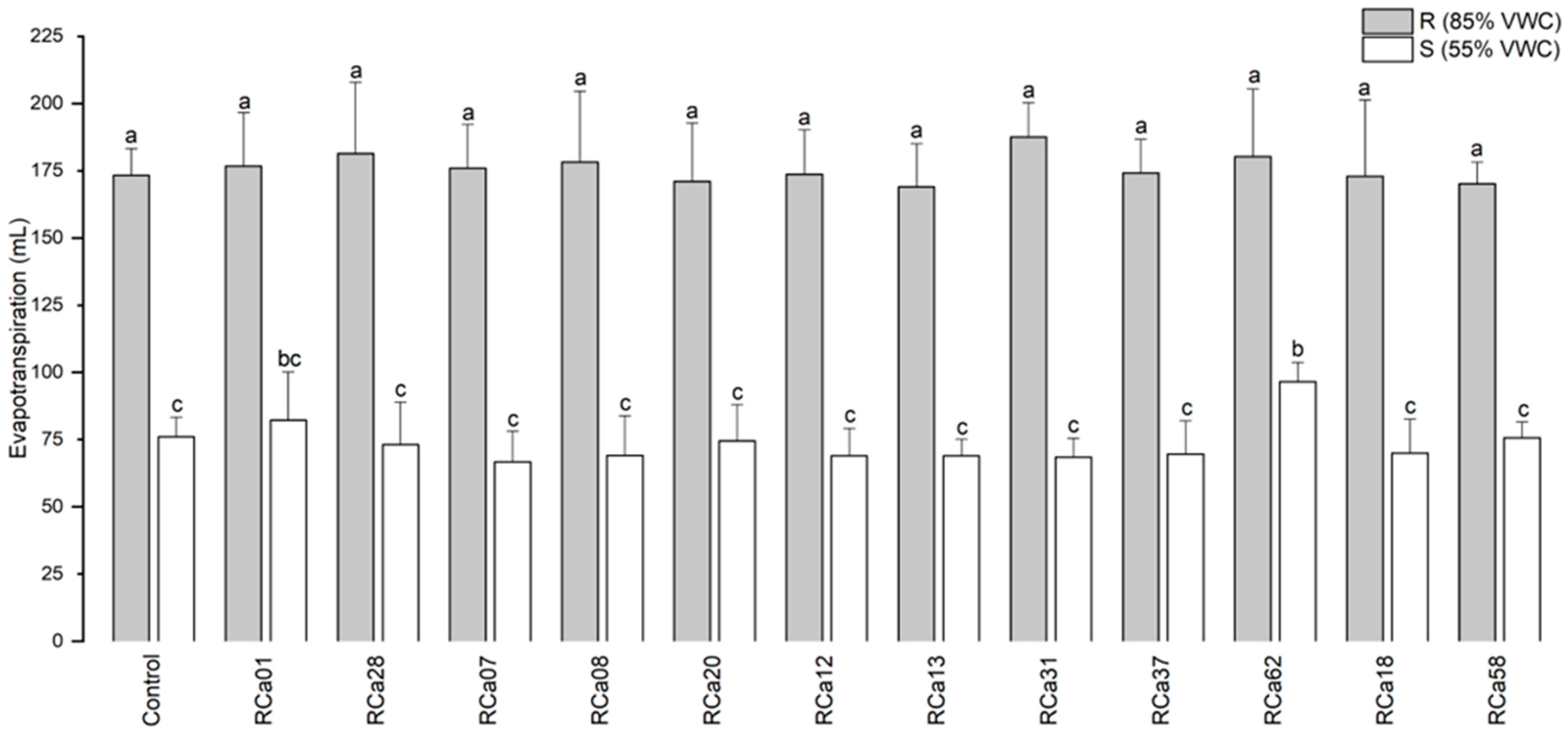 Plants 14 01084 g003