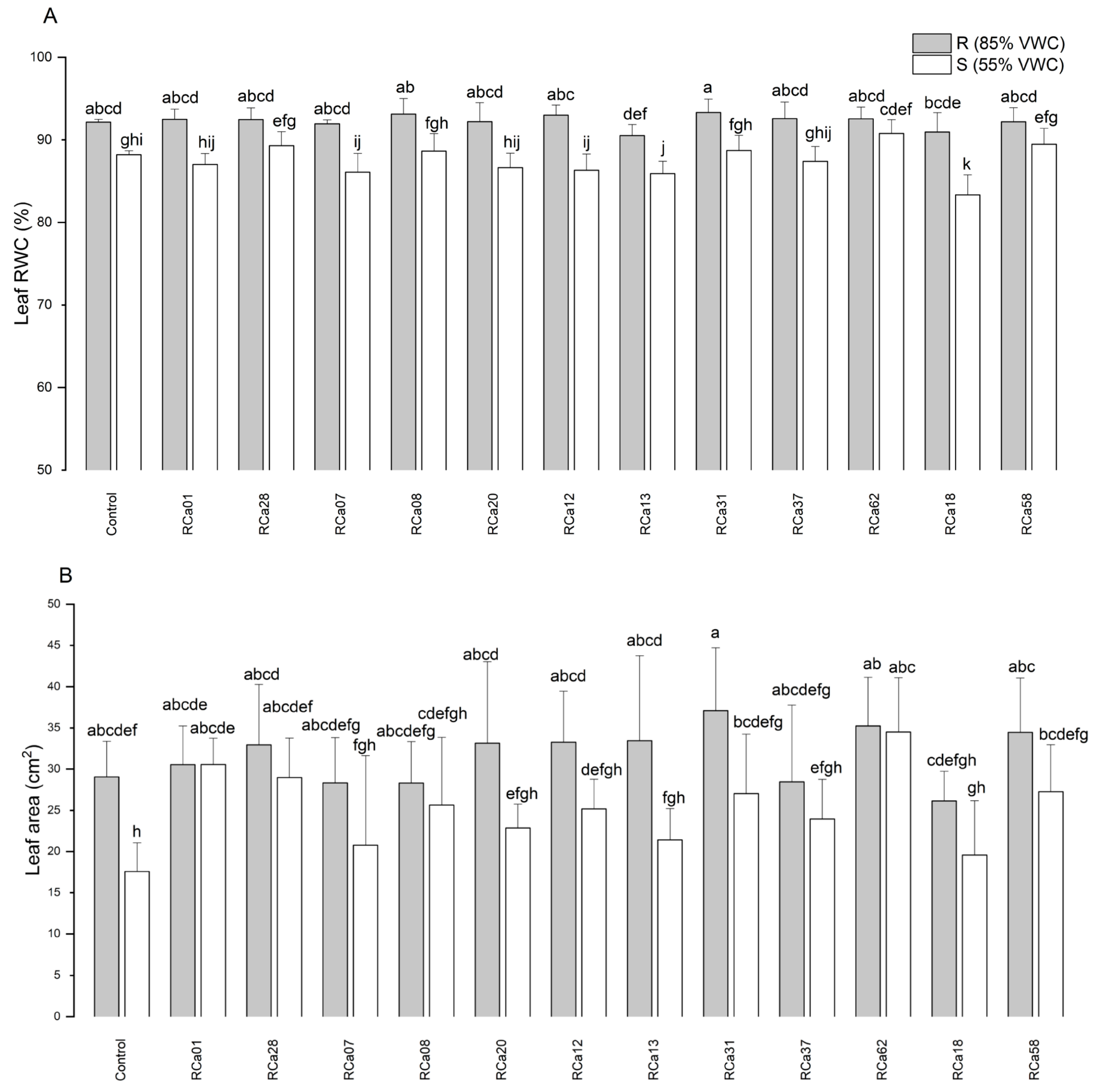 Plants 14 01084 g004
