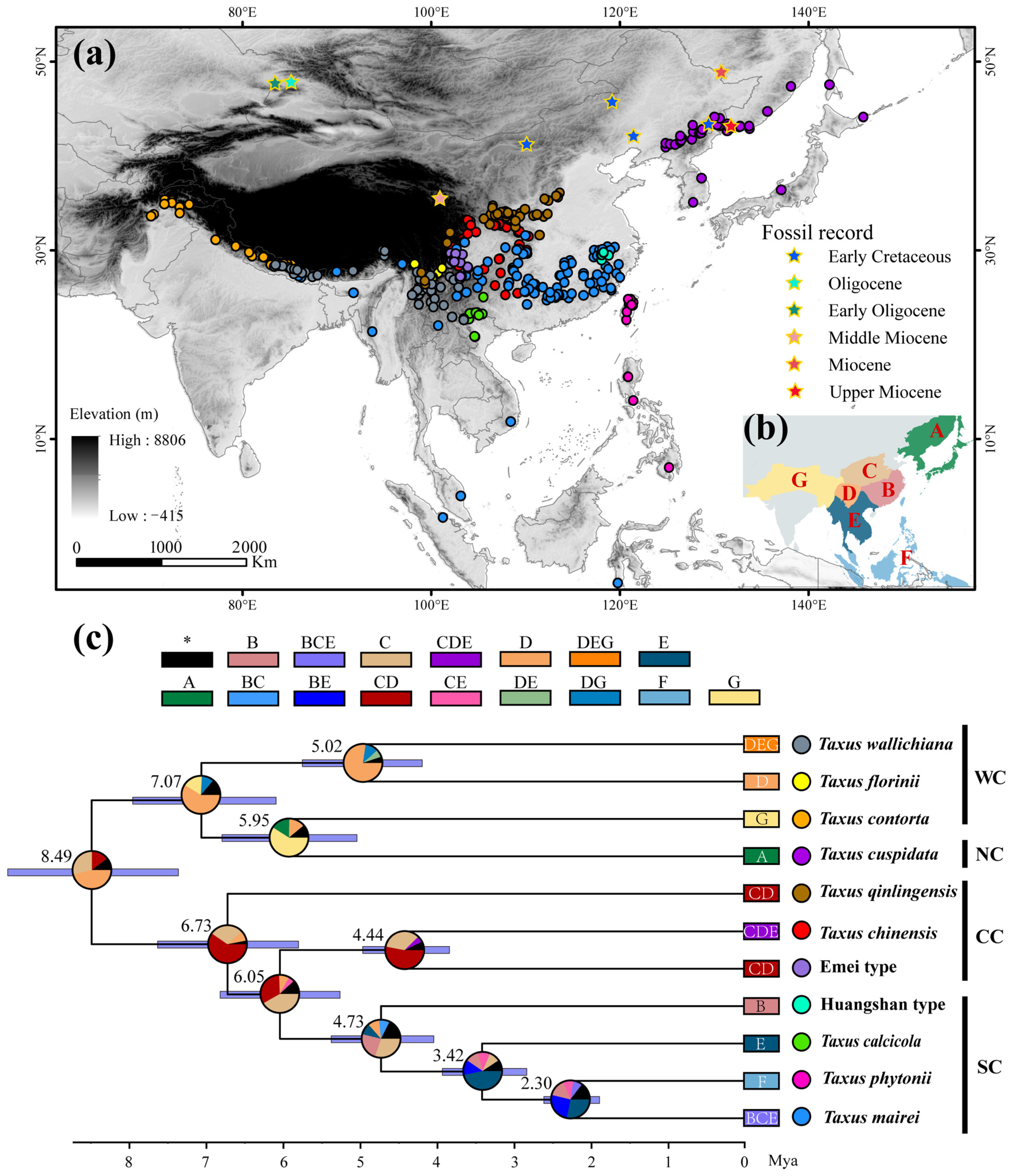 Plants 14 01094 g001