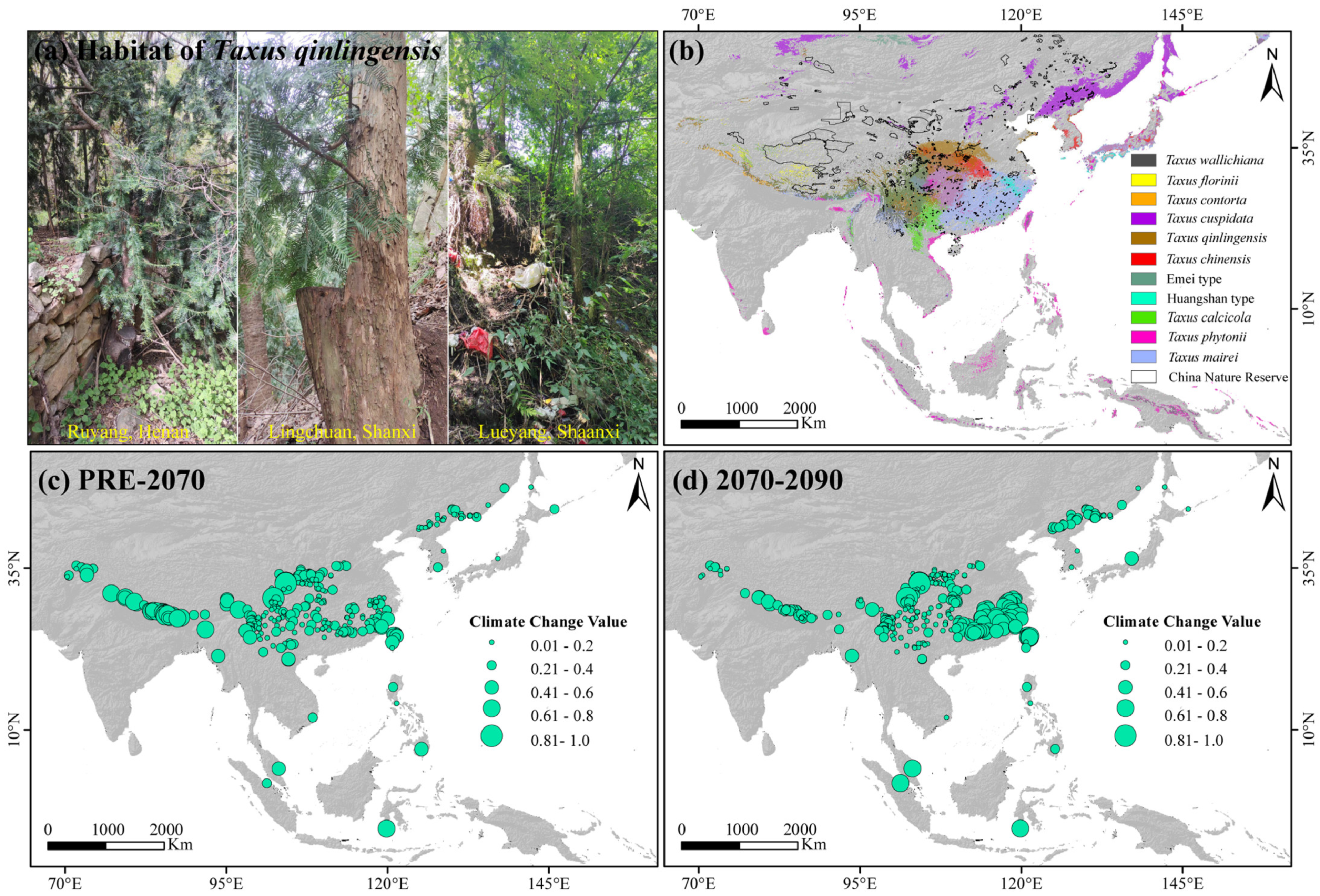 Plants 14 01094 g006