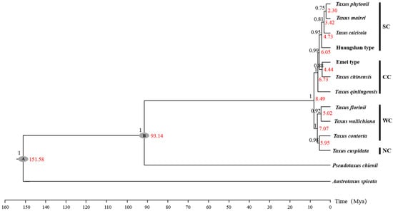 Plants 14 01094 g0a1