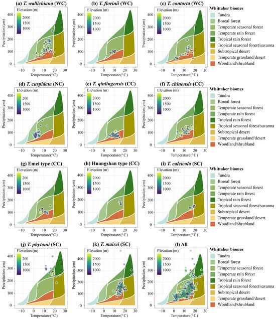 Plants 14 01094 g0a3