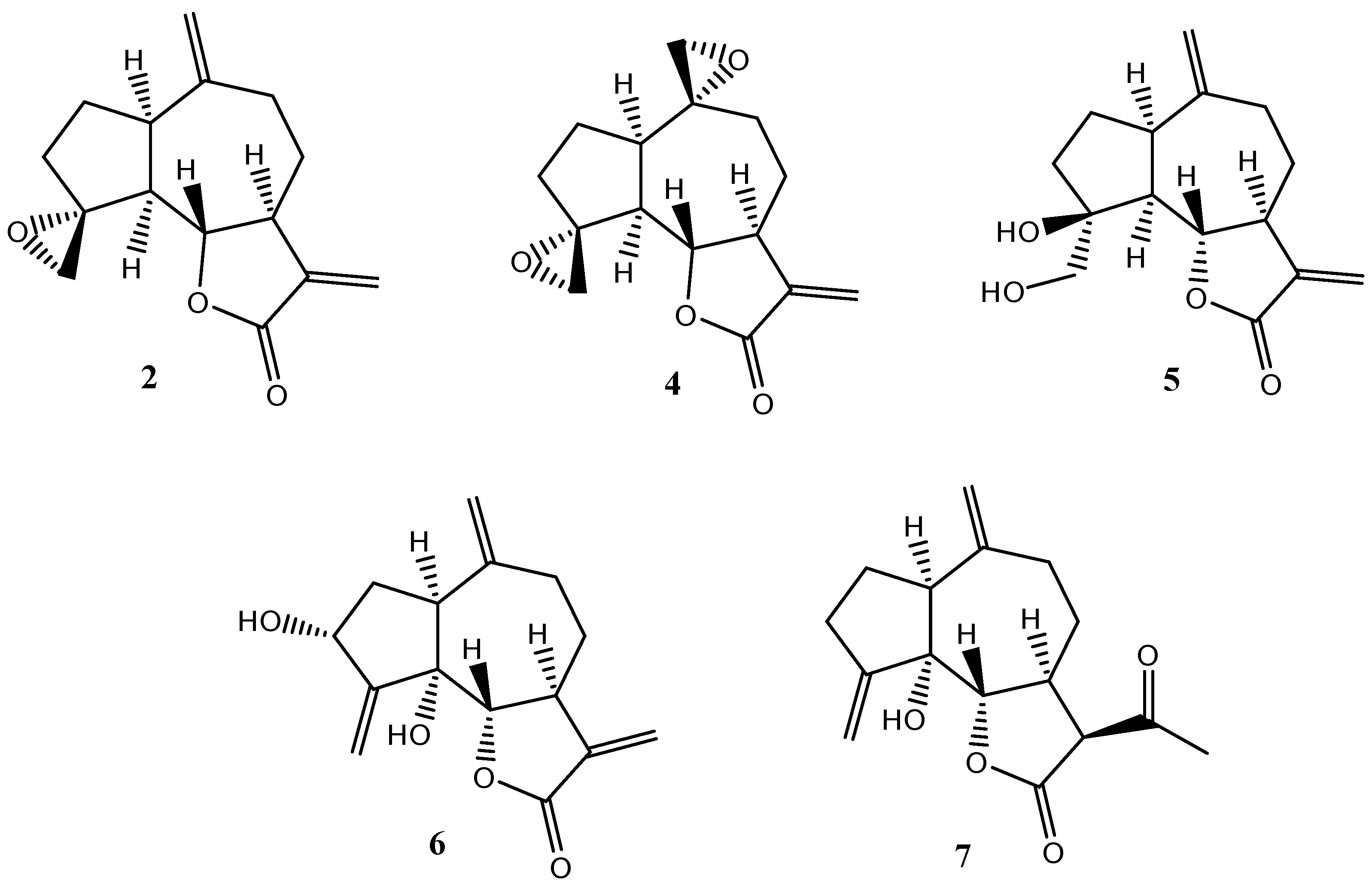 Plants 14 01111 g006