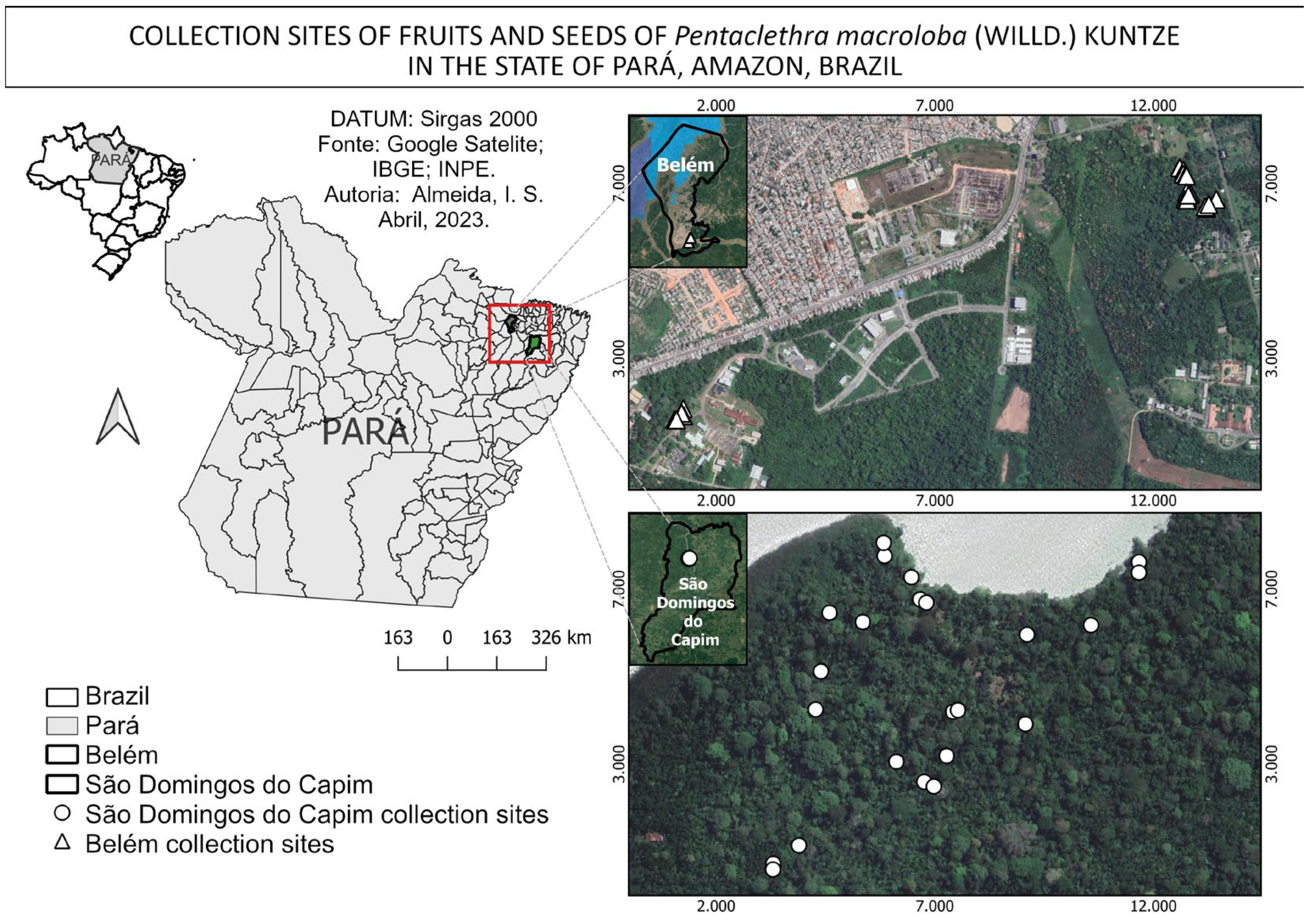 Plants 14 01112 g003