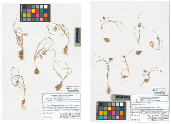 Plants 14 01113 g0a1