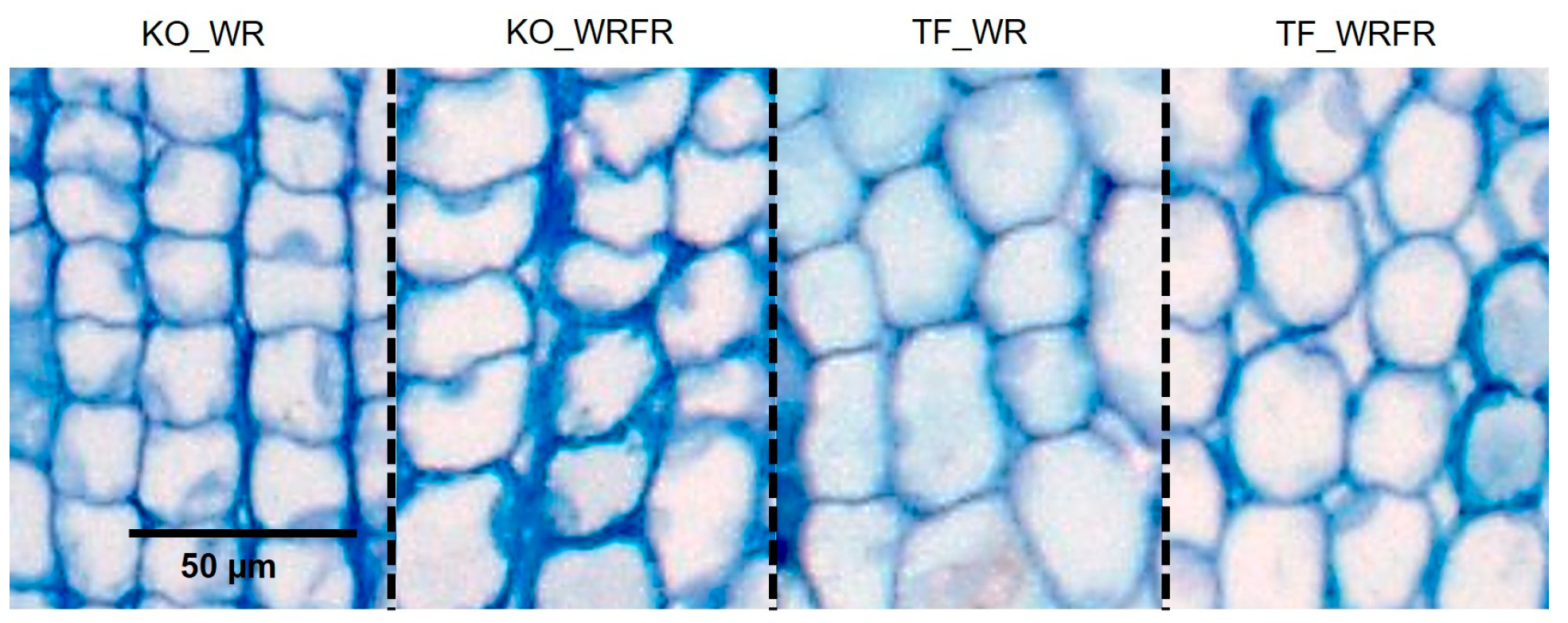 Plants 14 01115 g002