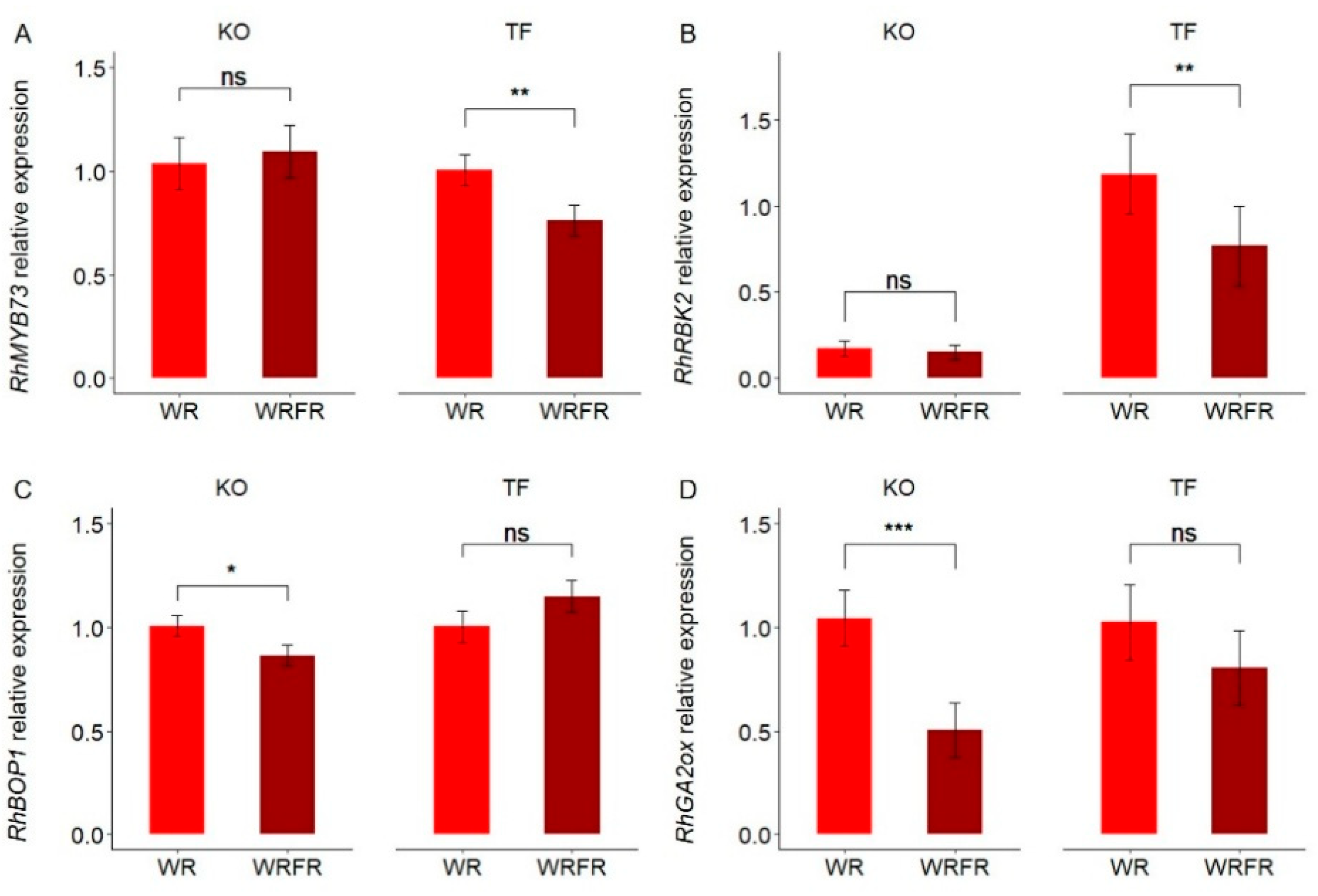 Plants 14 01115 g004