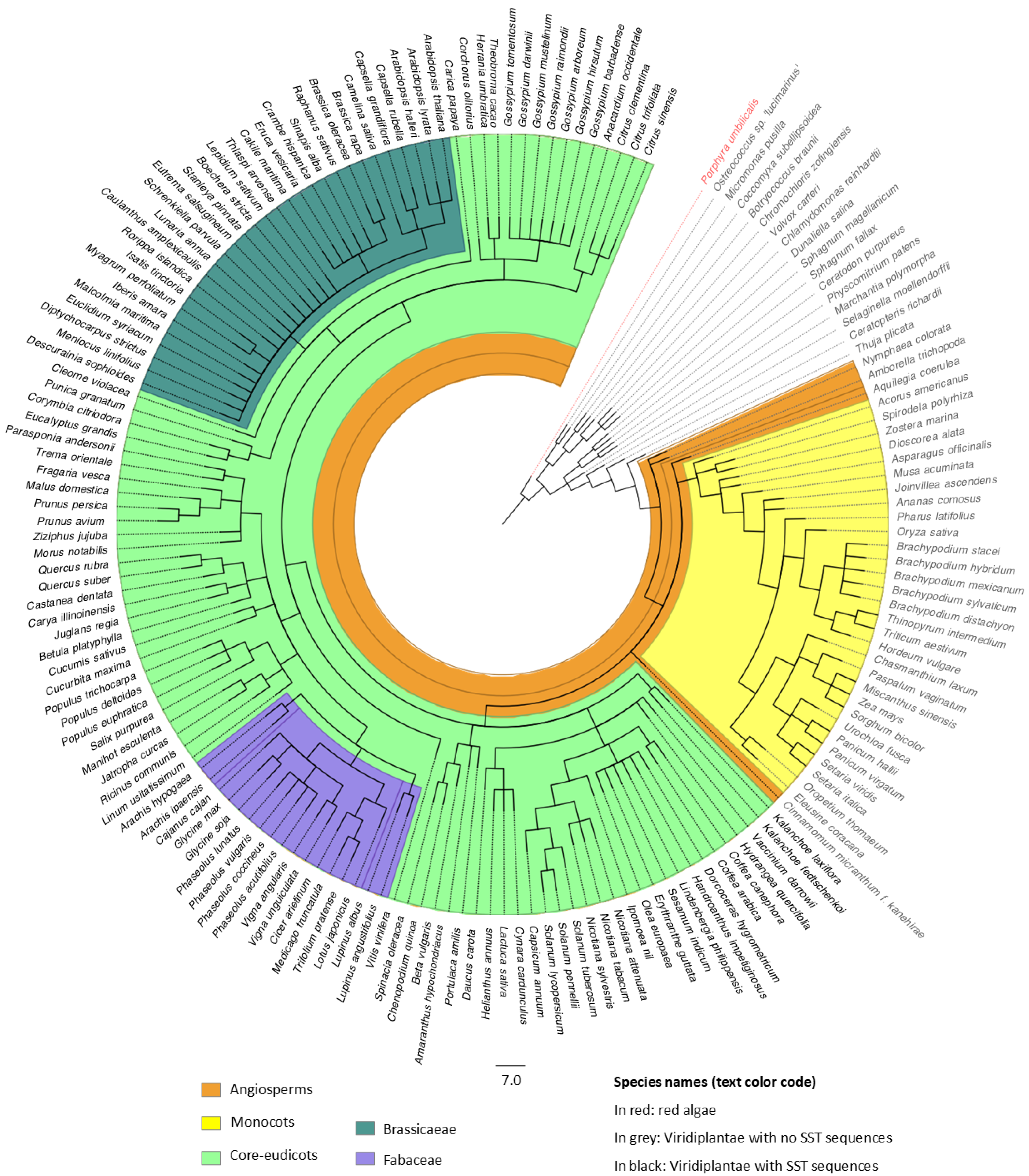 Plants 14 01117 g001