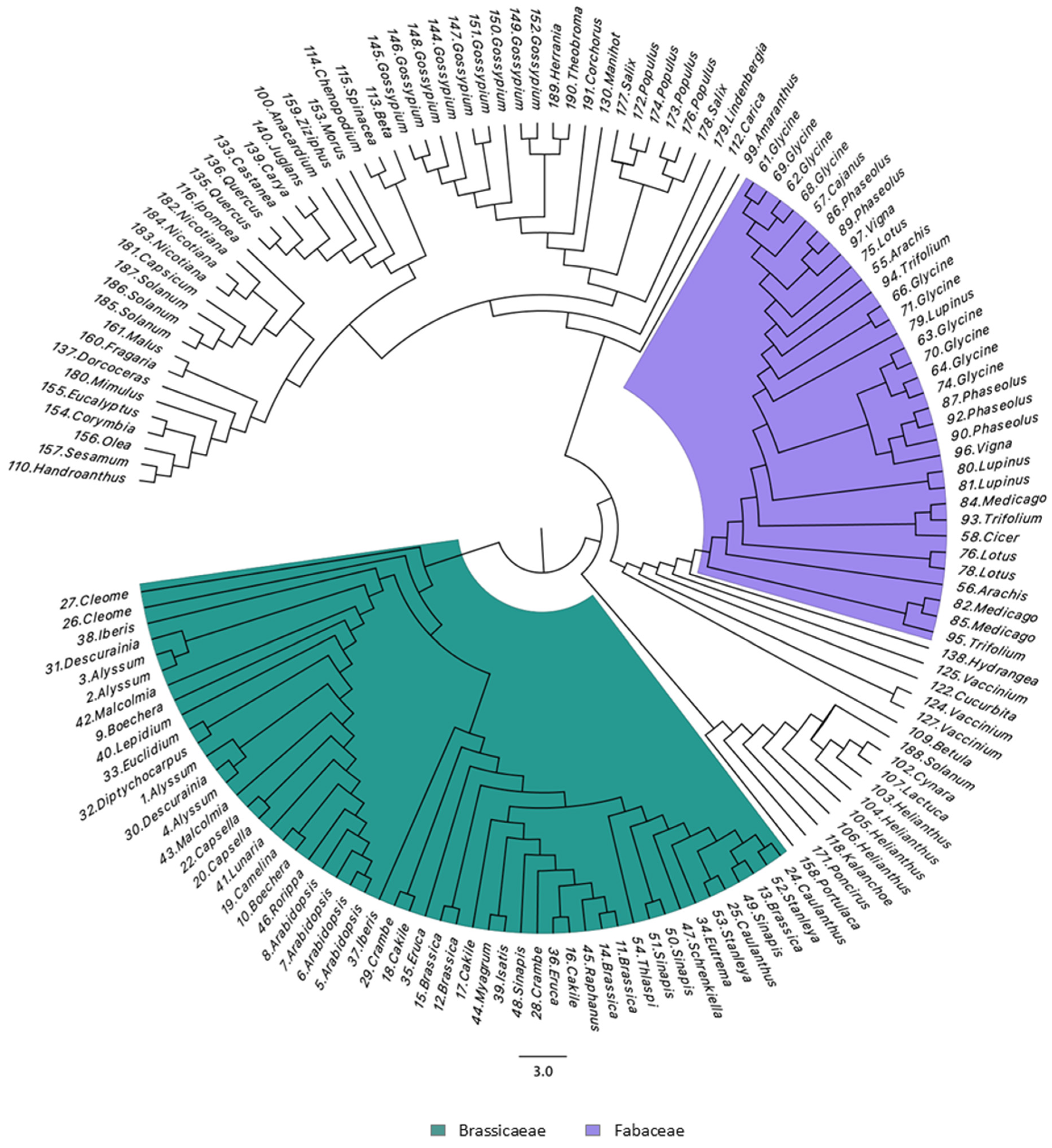 Plants 14 01117 g004