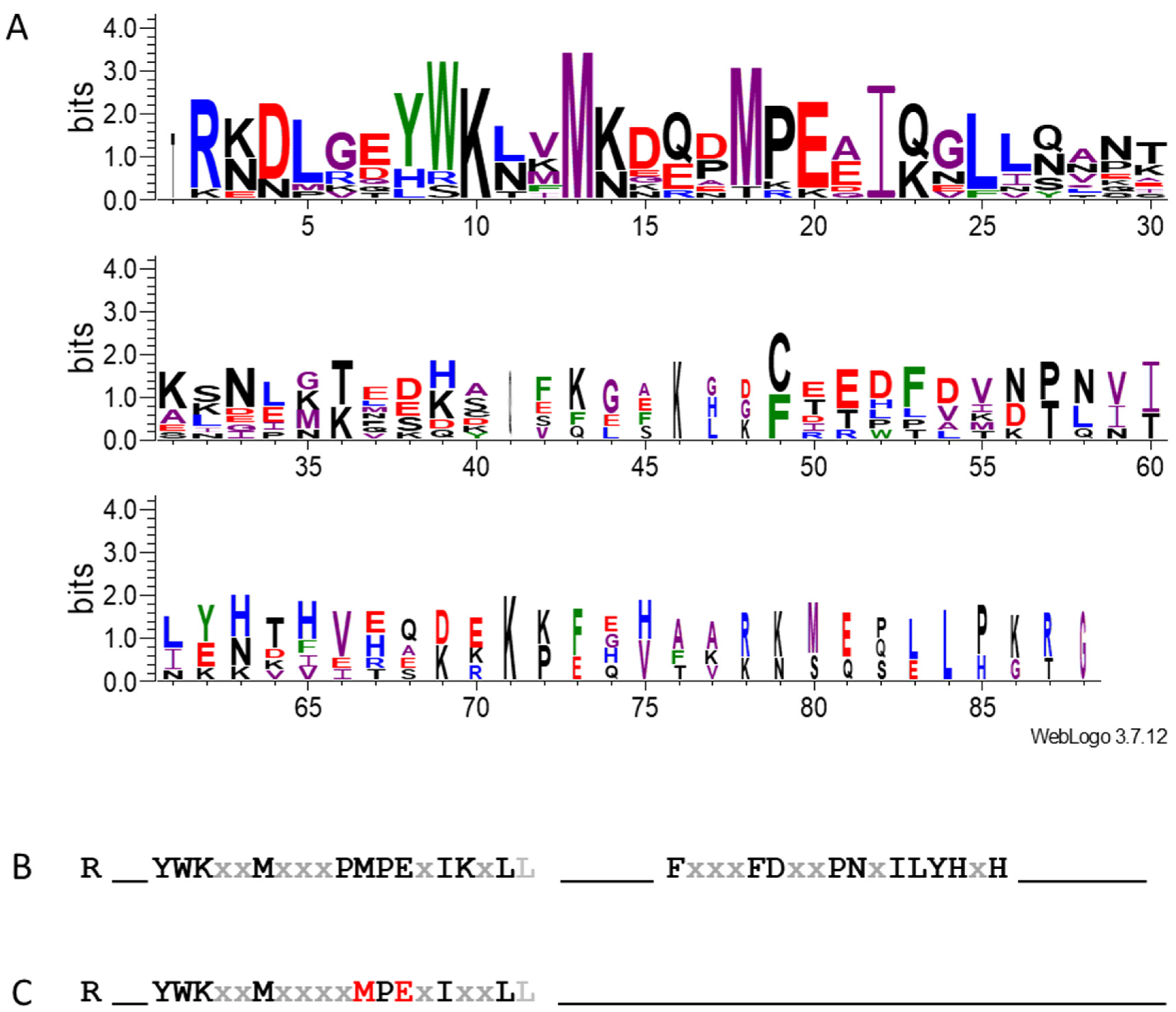 Plants 14 01117 g007