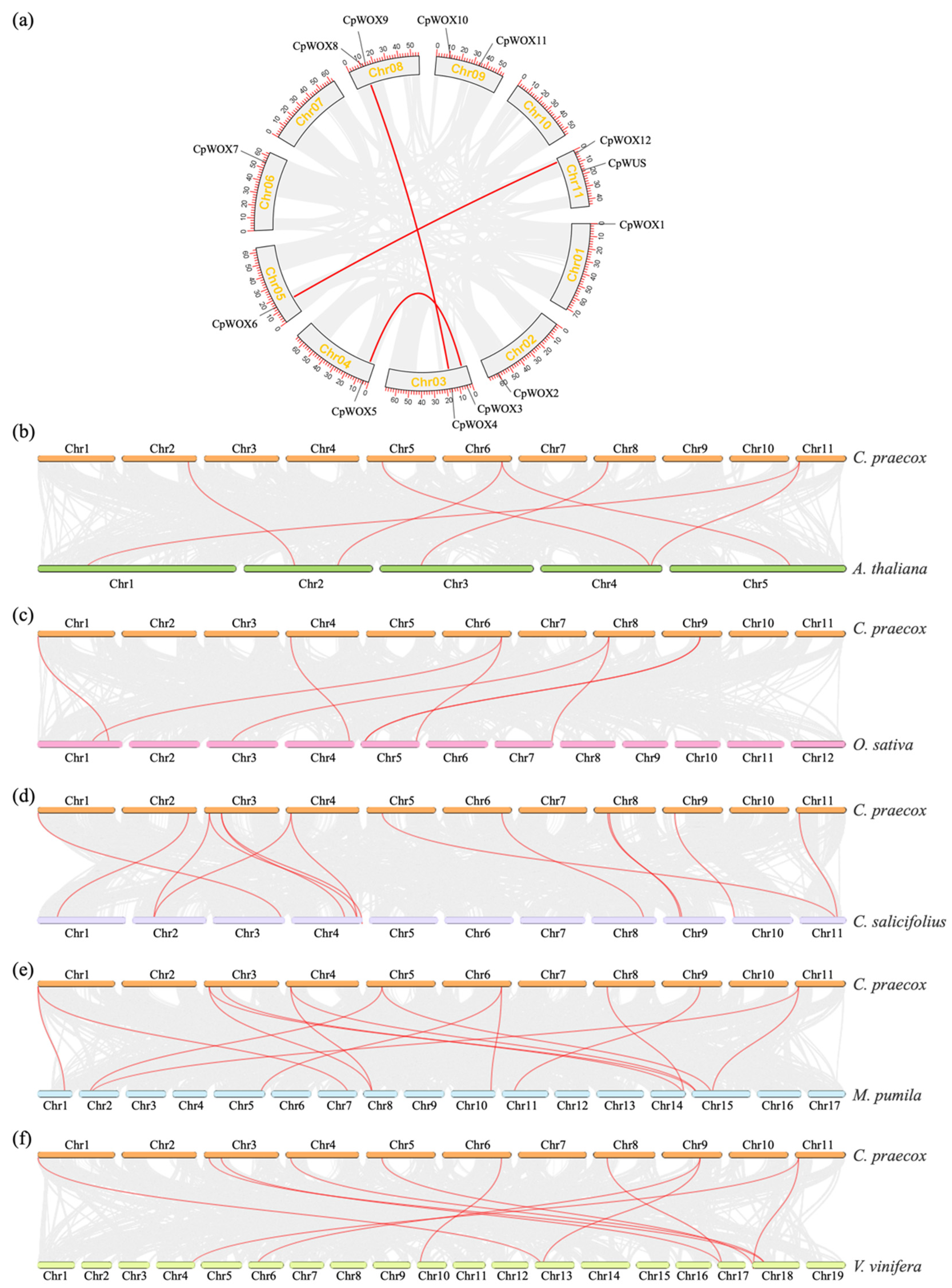 Plants 14 01144 g003