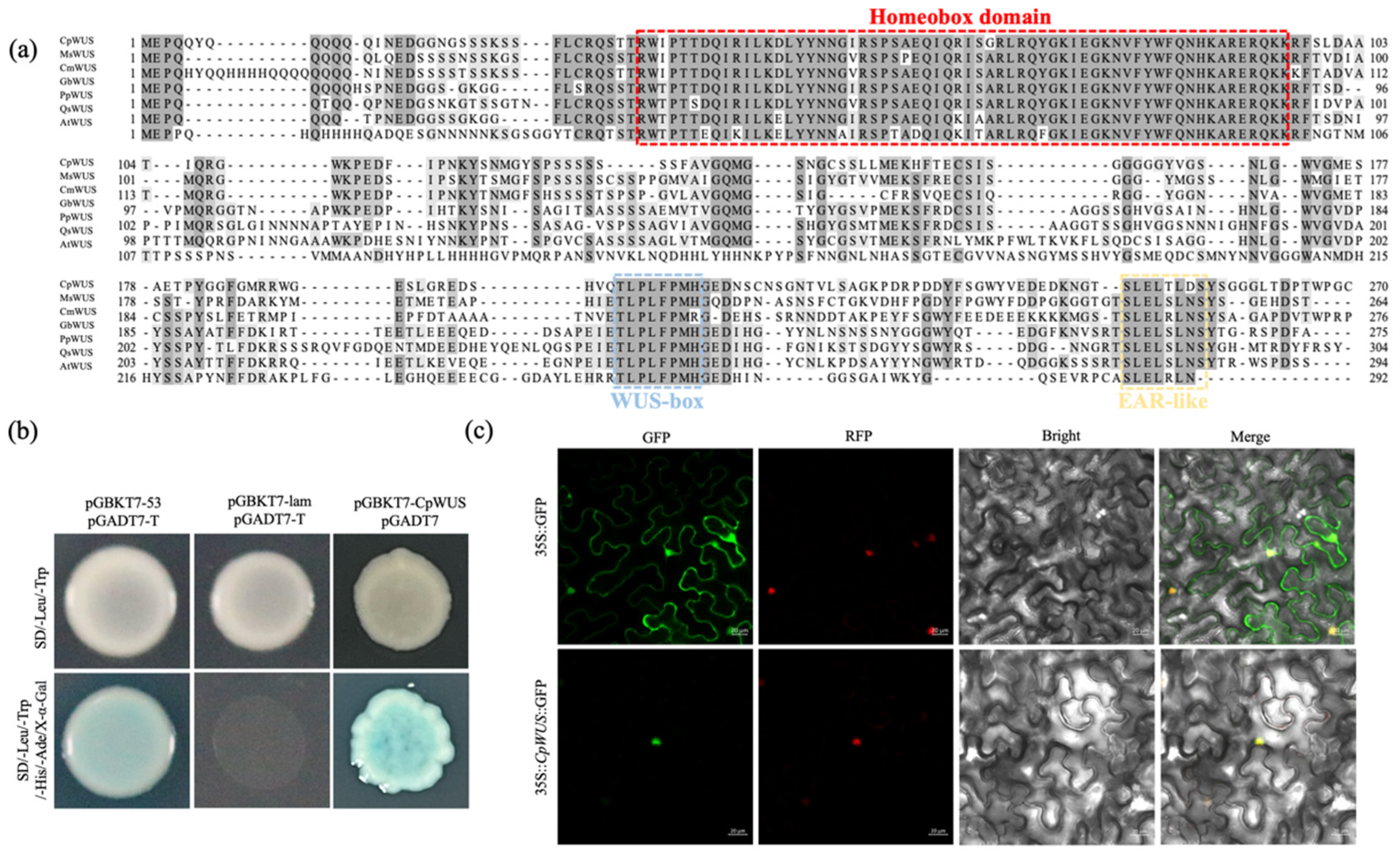 Plants 14 01144 g004