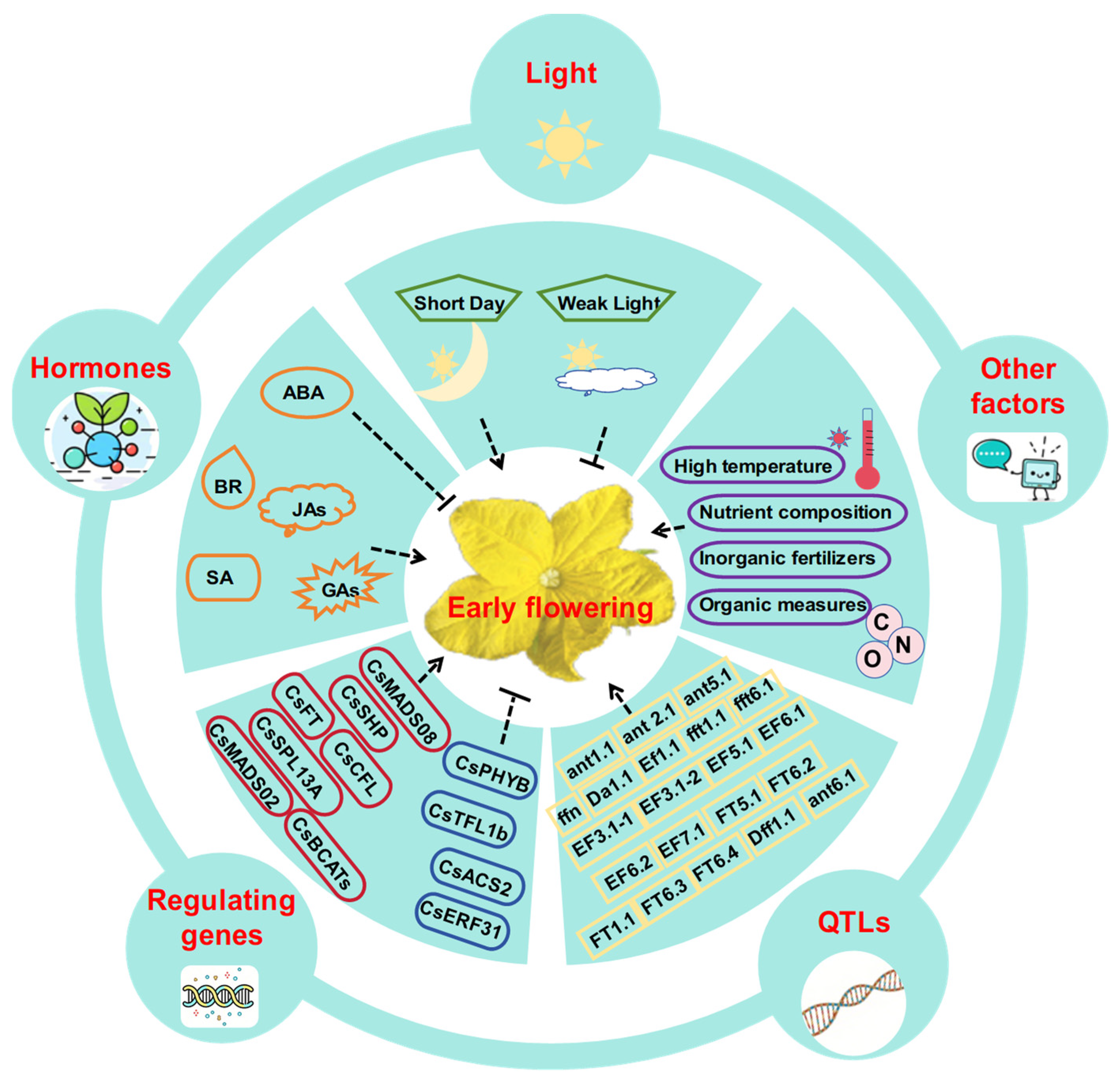 Plants 14 01158 g001