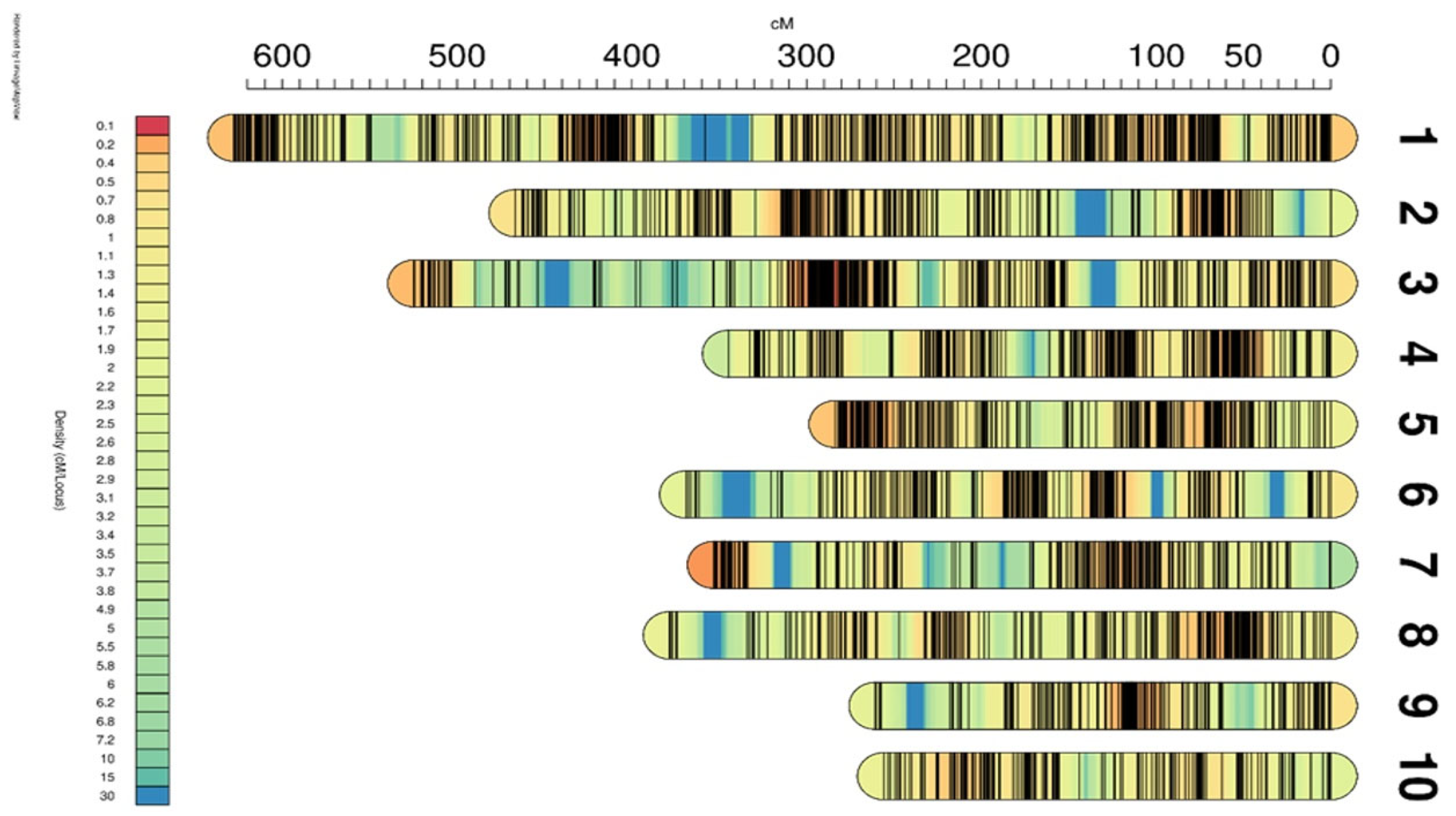 Plants 14 01181 g003