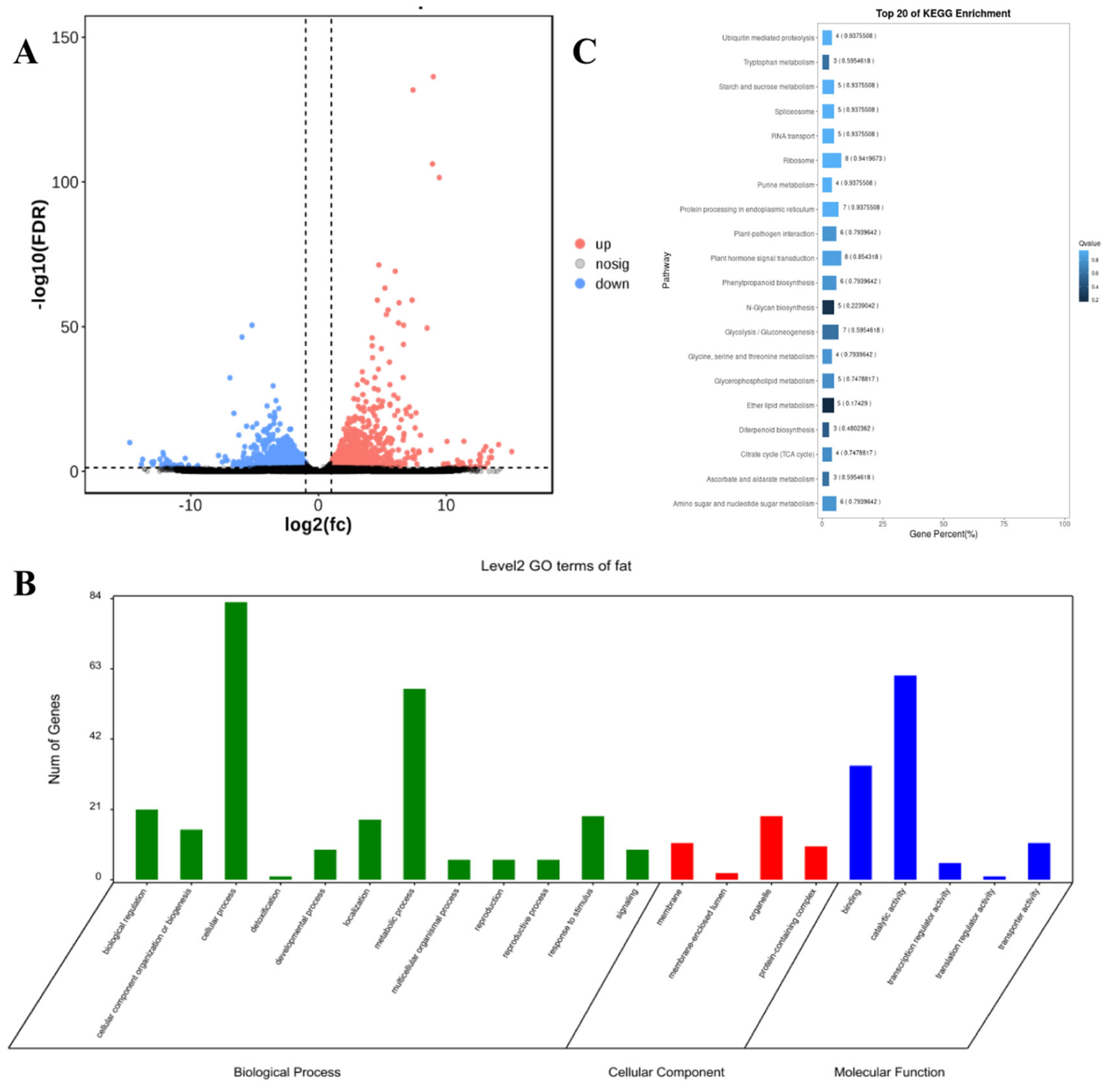 Plants 14 01181 g005