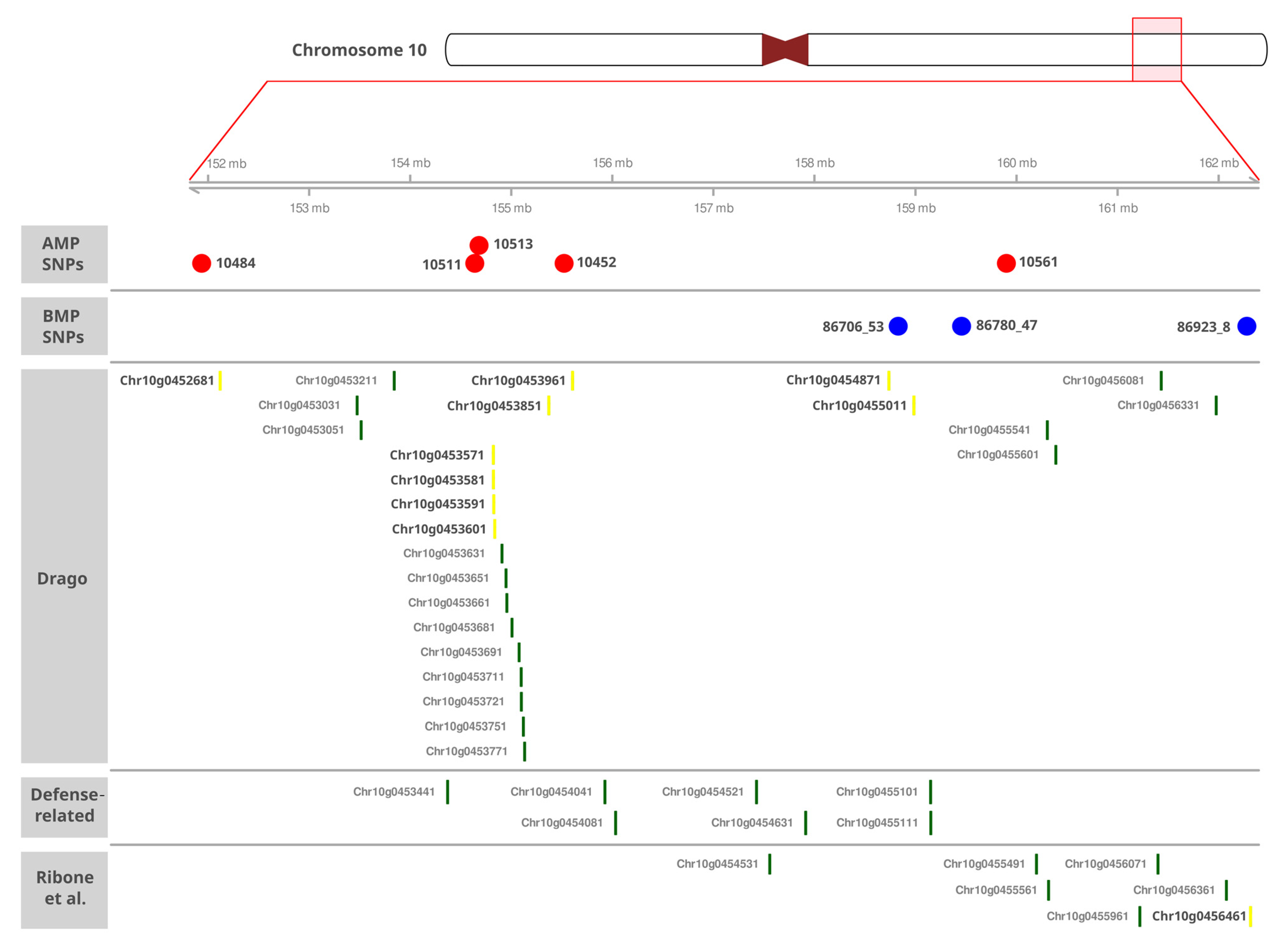 Plants 14 01187 g003 Plants 14 01187 g003