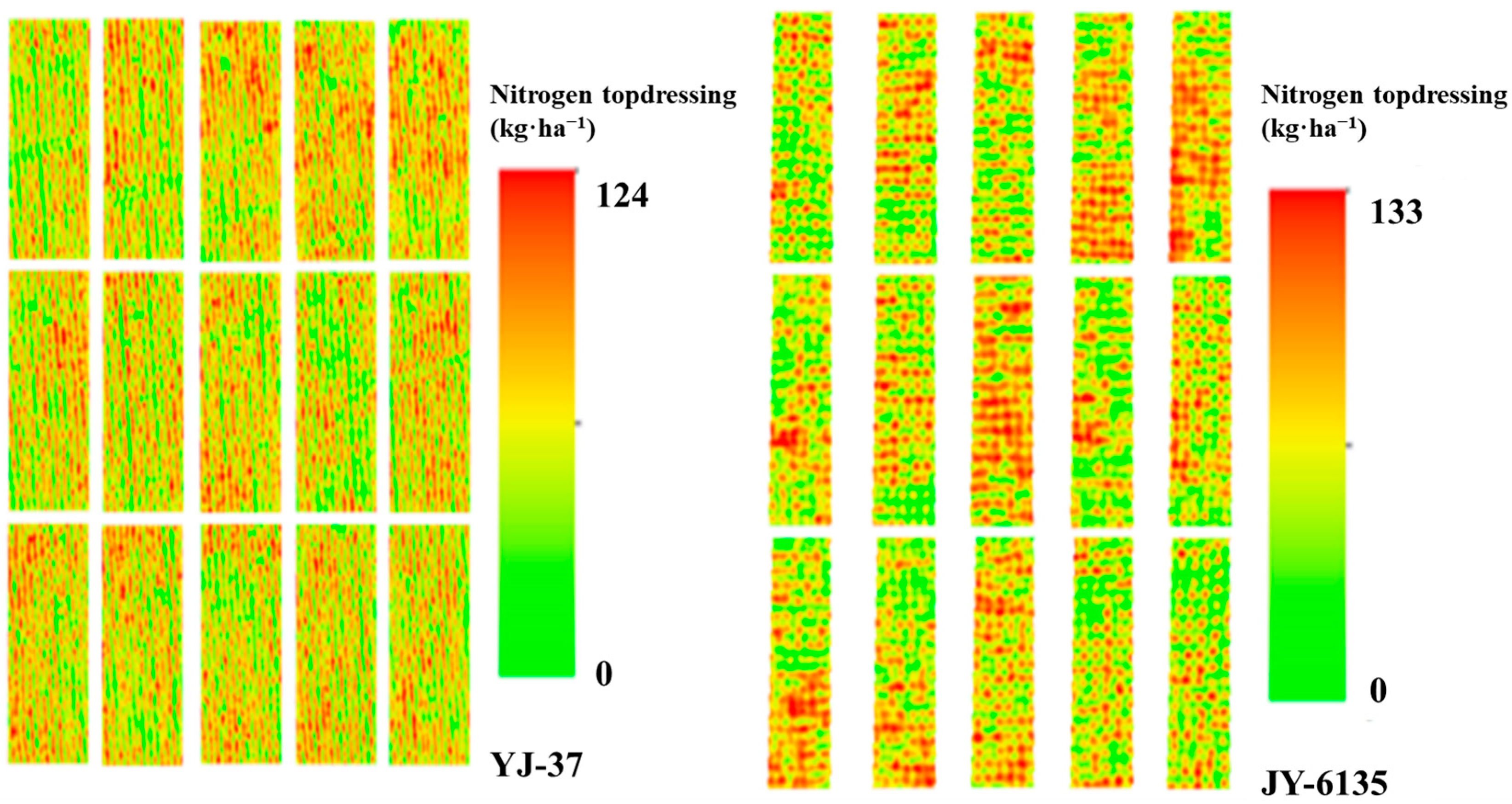 Plants 14 01195 g005