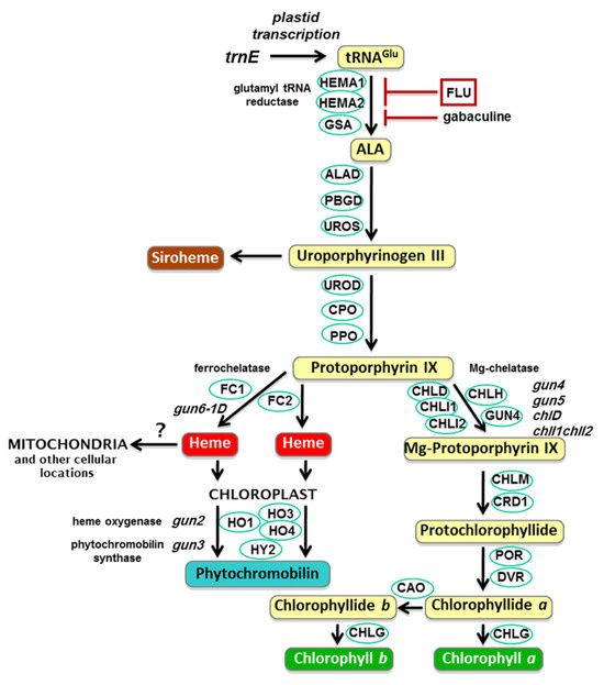Plants 14 01211 g001