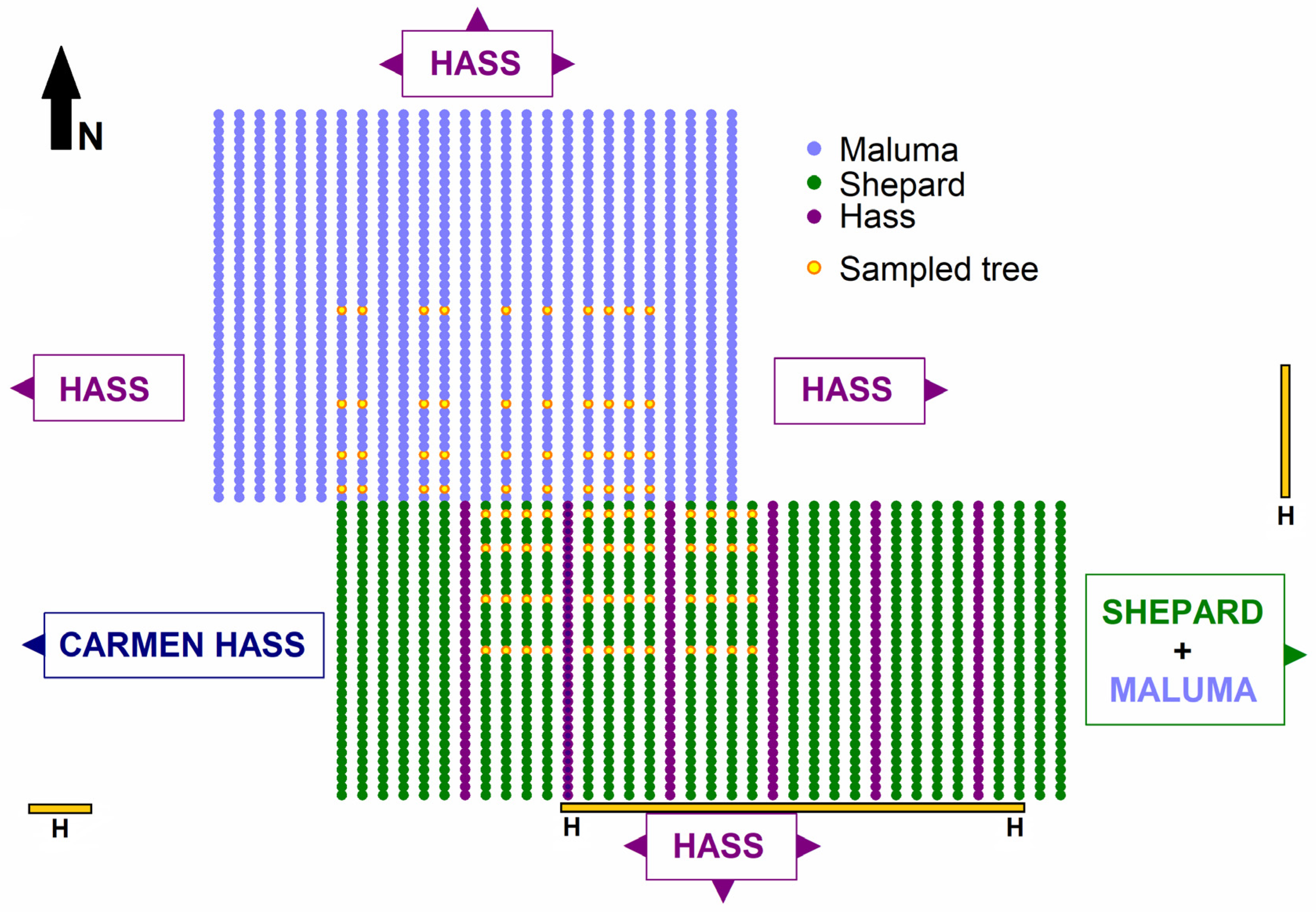 Plants 14 01218 g004