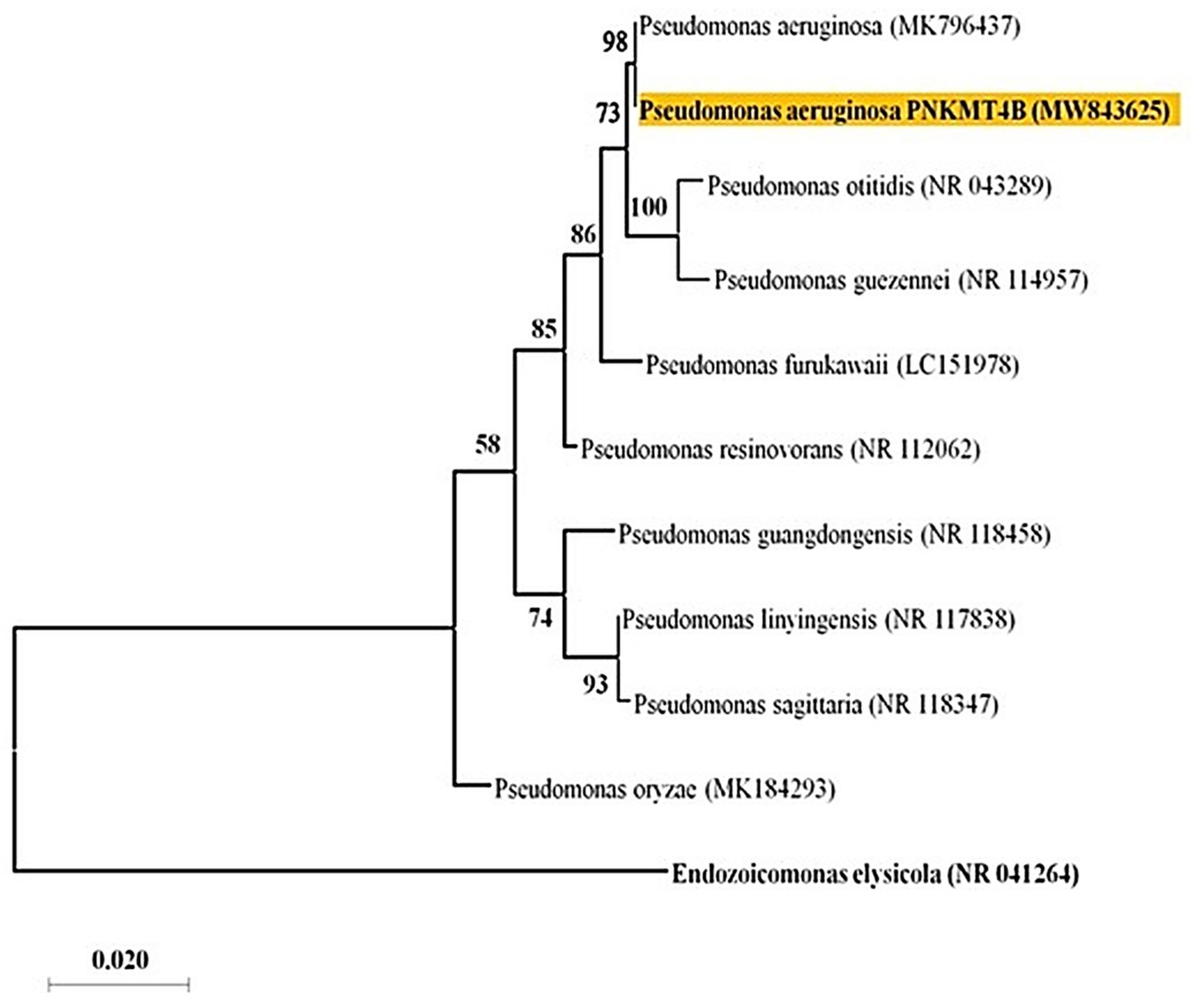 Plants 14 01223 g001