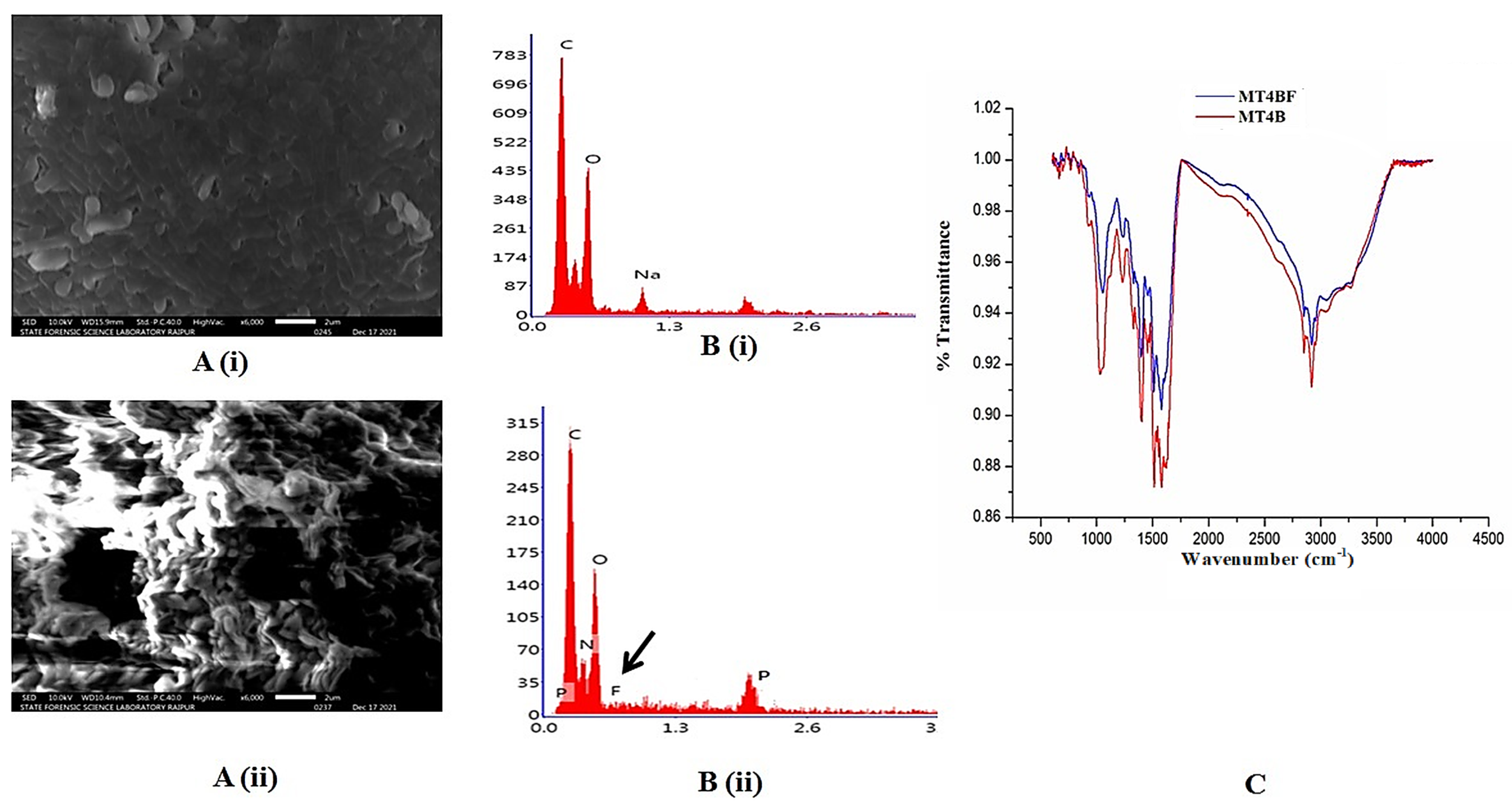 Plants 14 01223 g003
