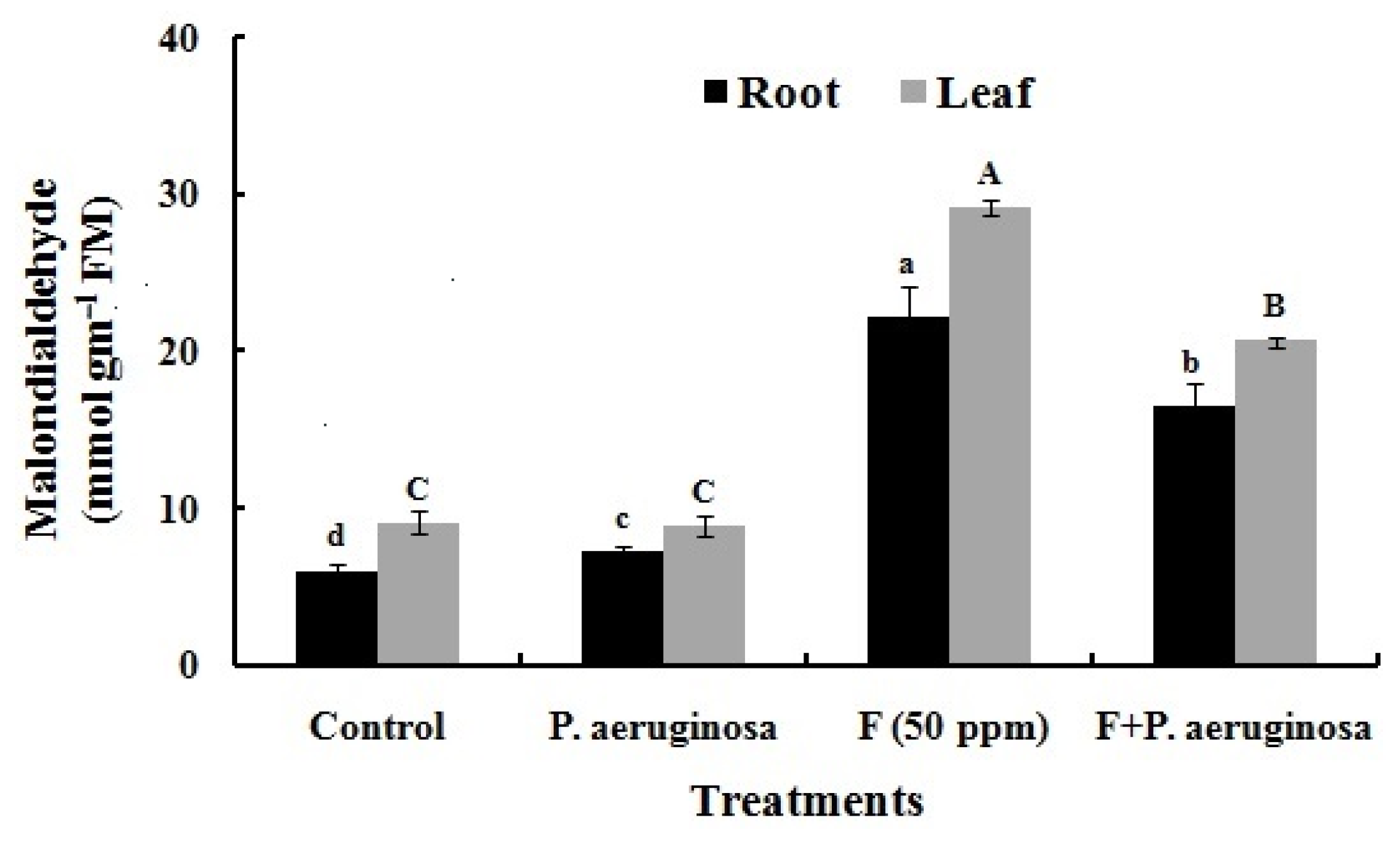 Plants 14 01223 g006