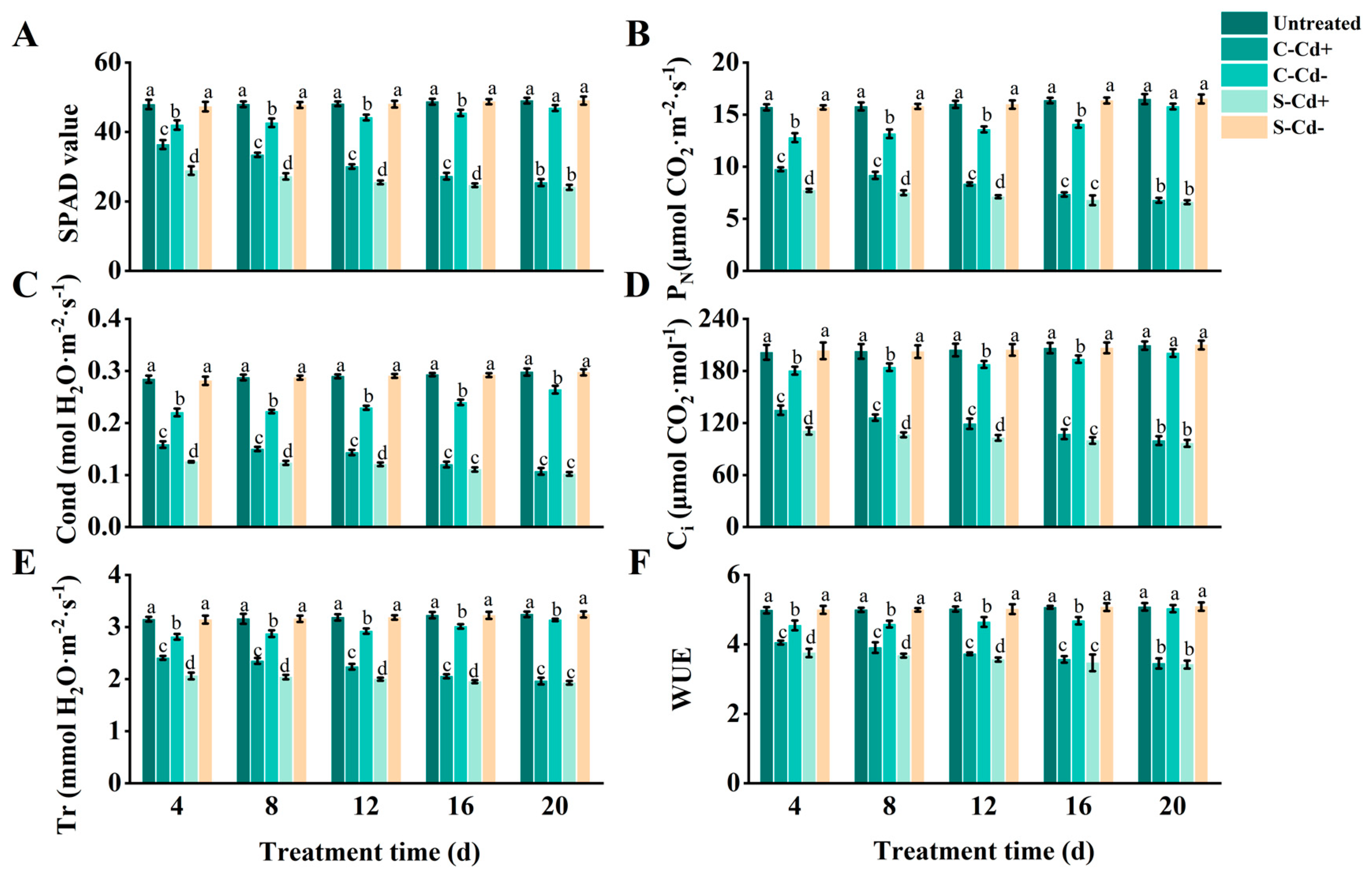 Plants 14 01230 g001