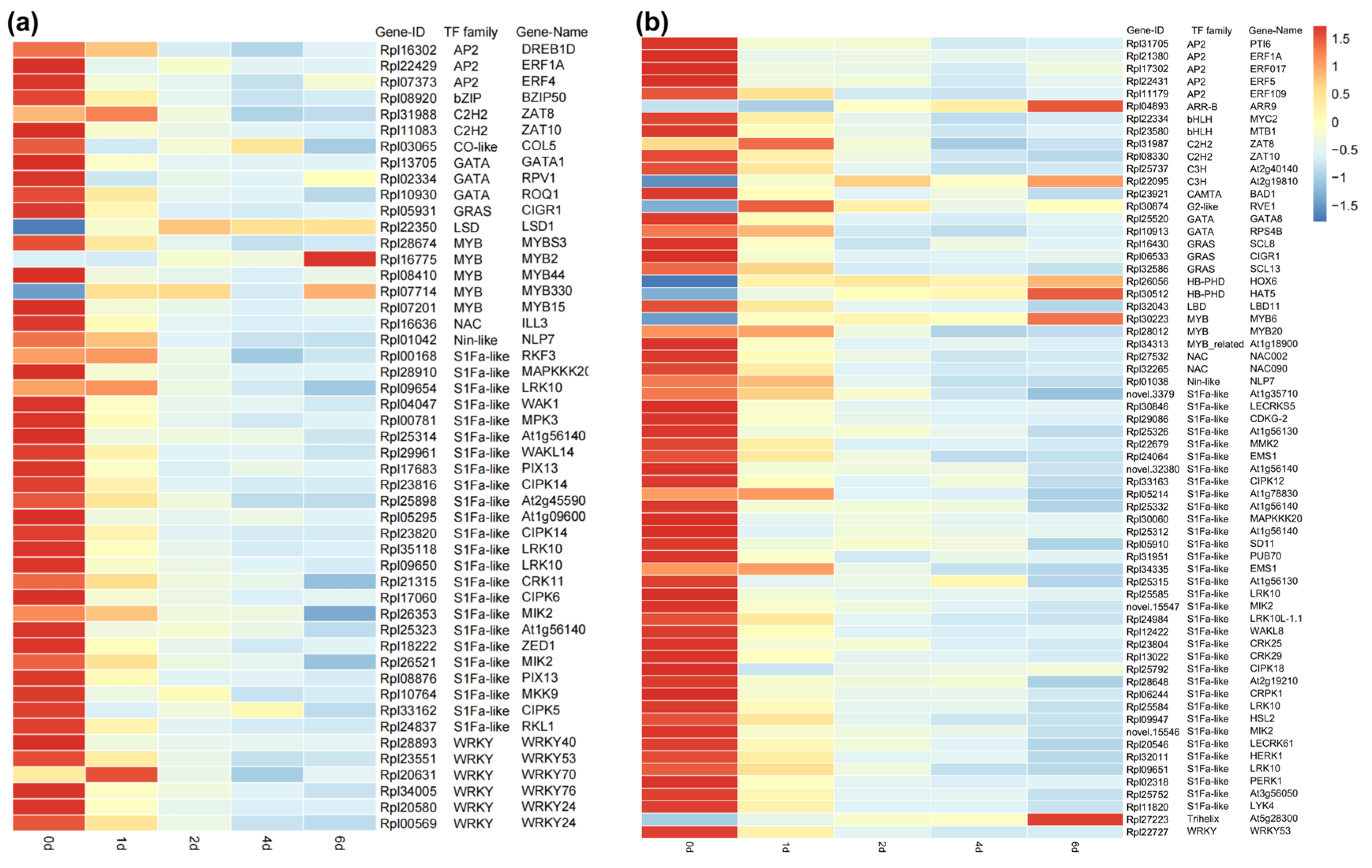 Plants 14 01233 g006