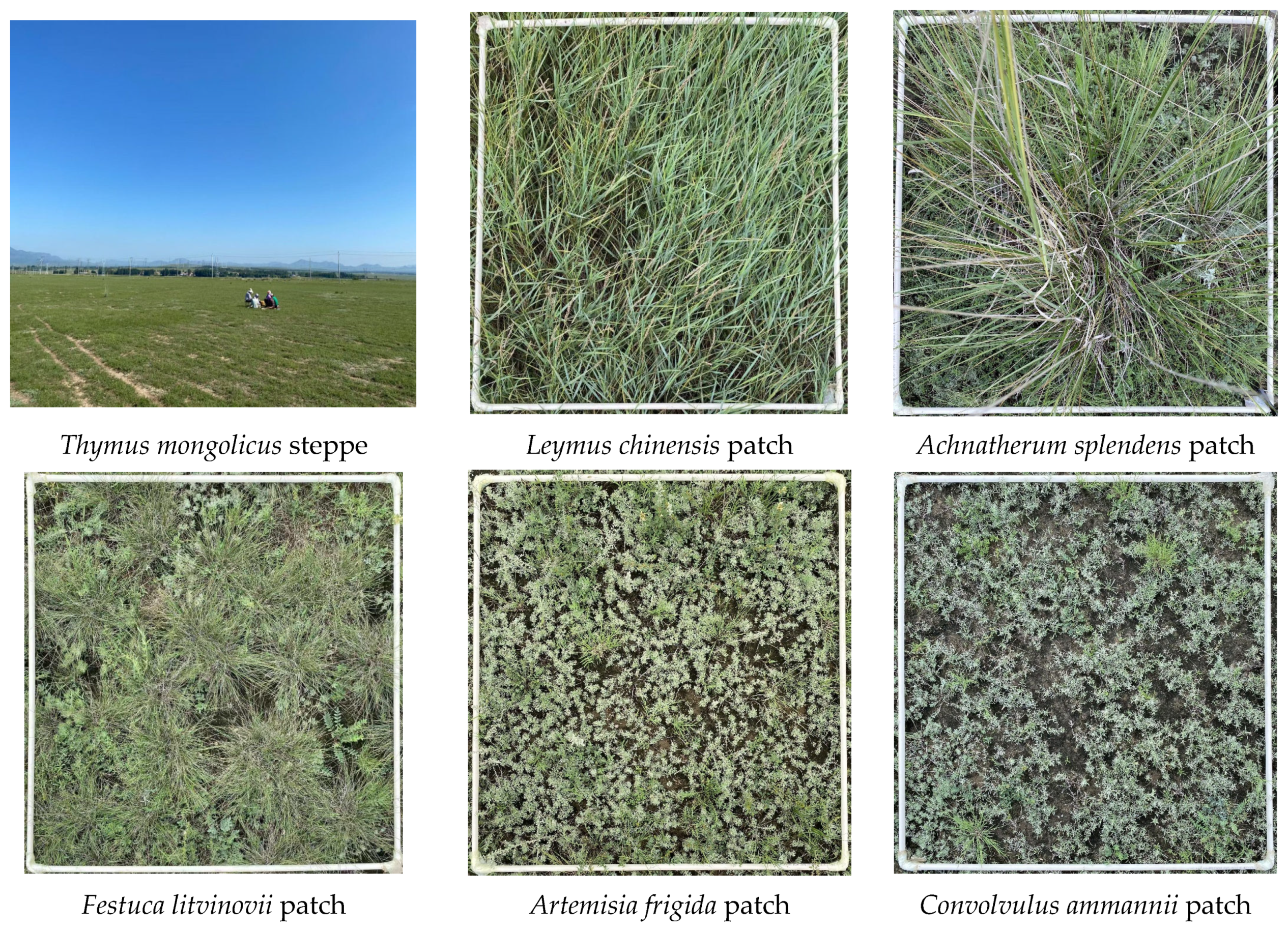 Plants 14 01237 g002