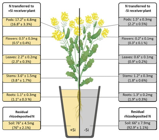 Plants 14 01246 g002