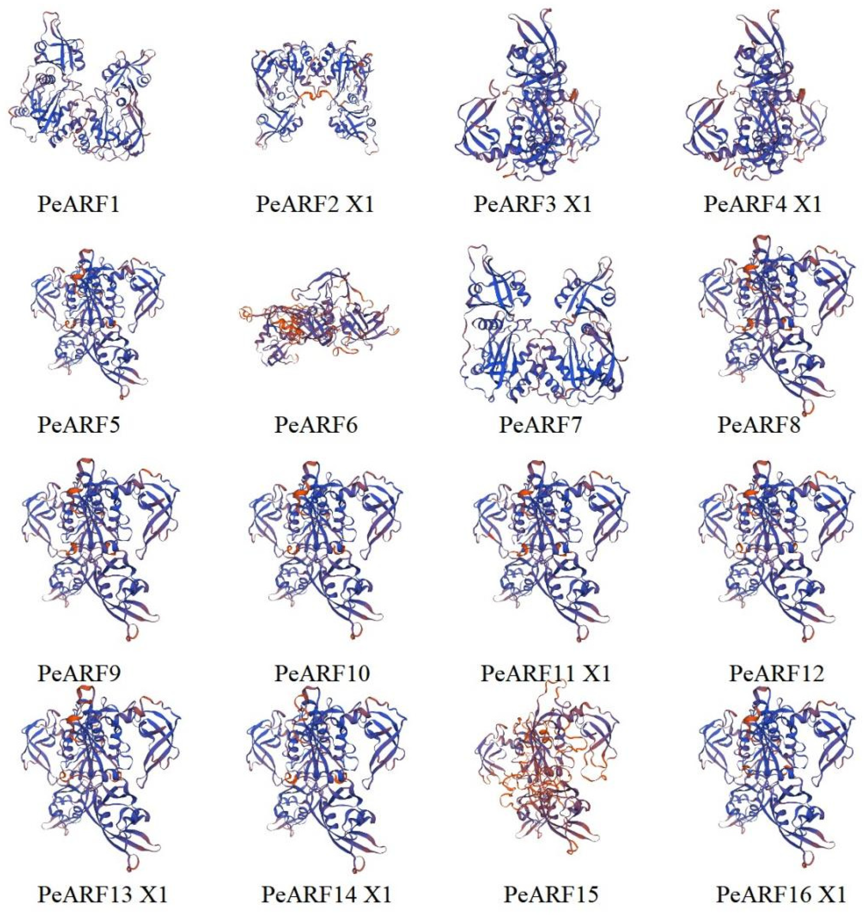 Plants 14 01248 g001 Plants 14 01248 g001