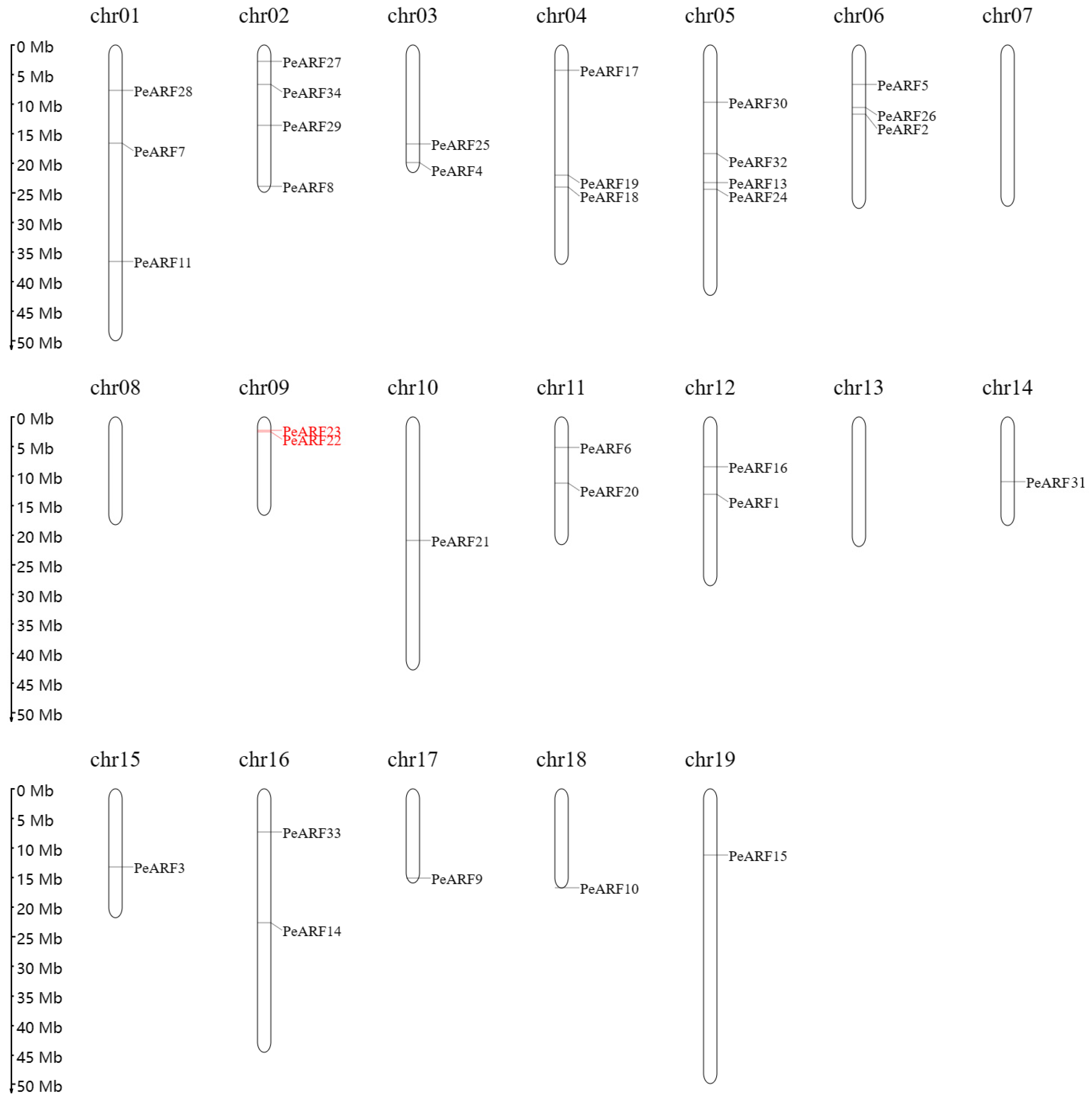 Plants 14 01248 g004 Plants 14 01248 g004