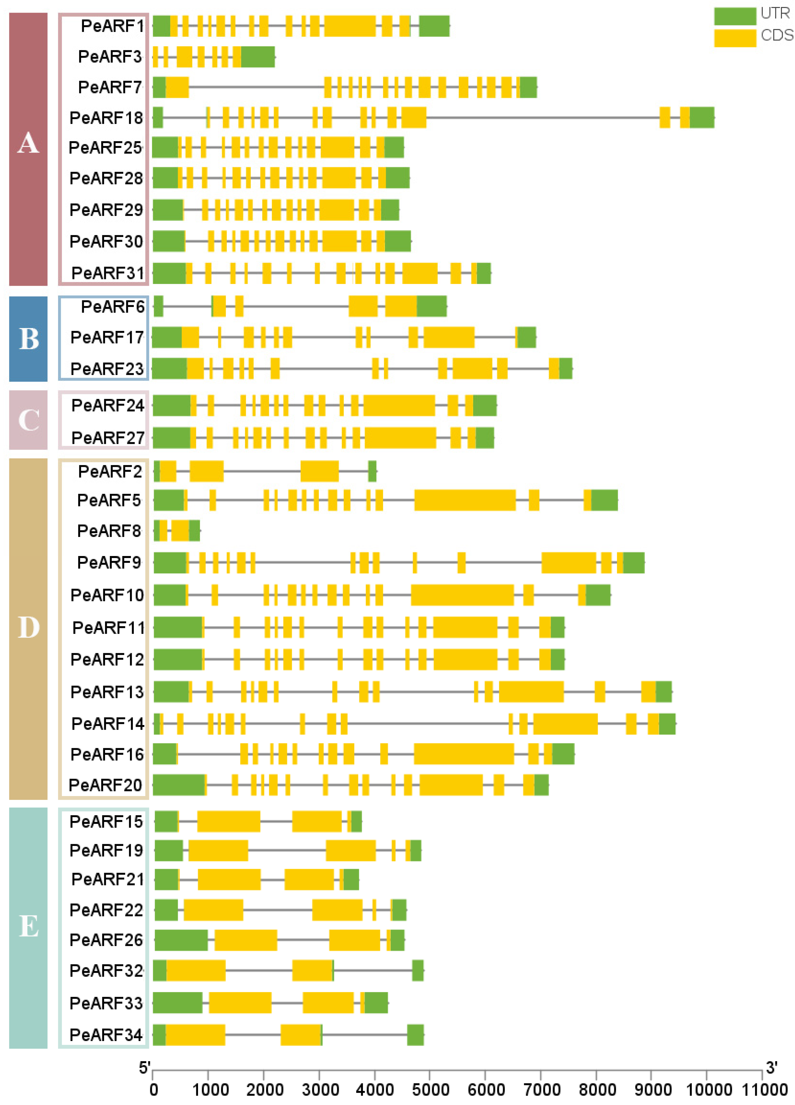 Plants 14 01248 g005 Plants 14 01248 g005